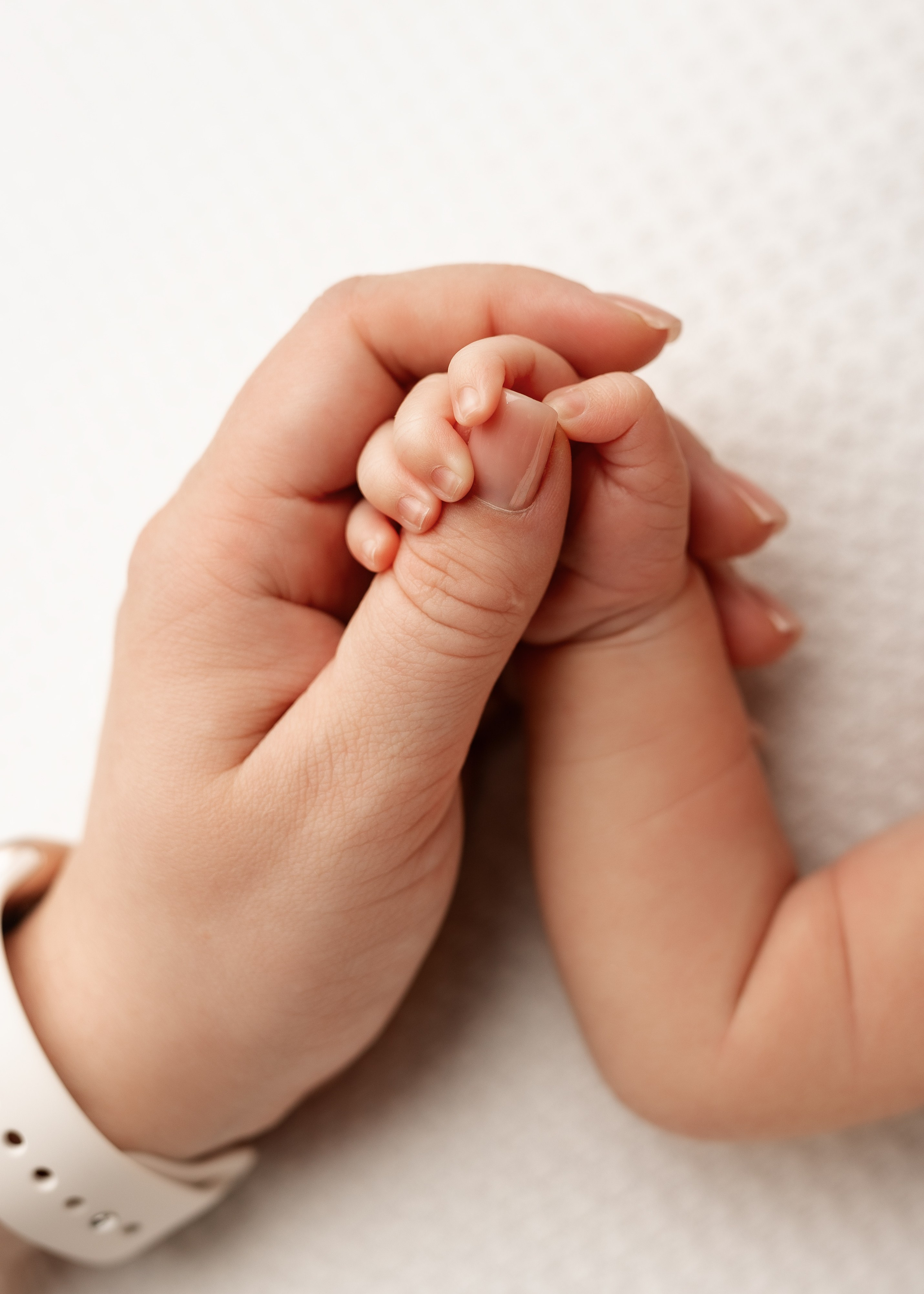 Фотосъёмка новорожденных. Фотограф Беременности и Новорождённых в Кемерово