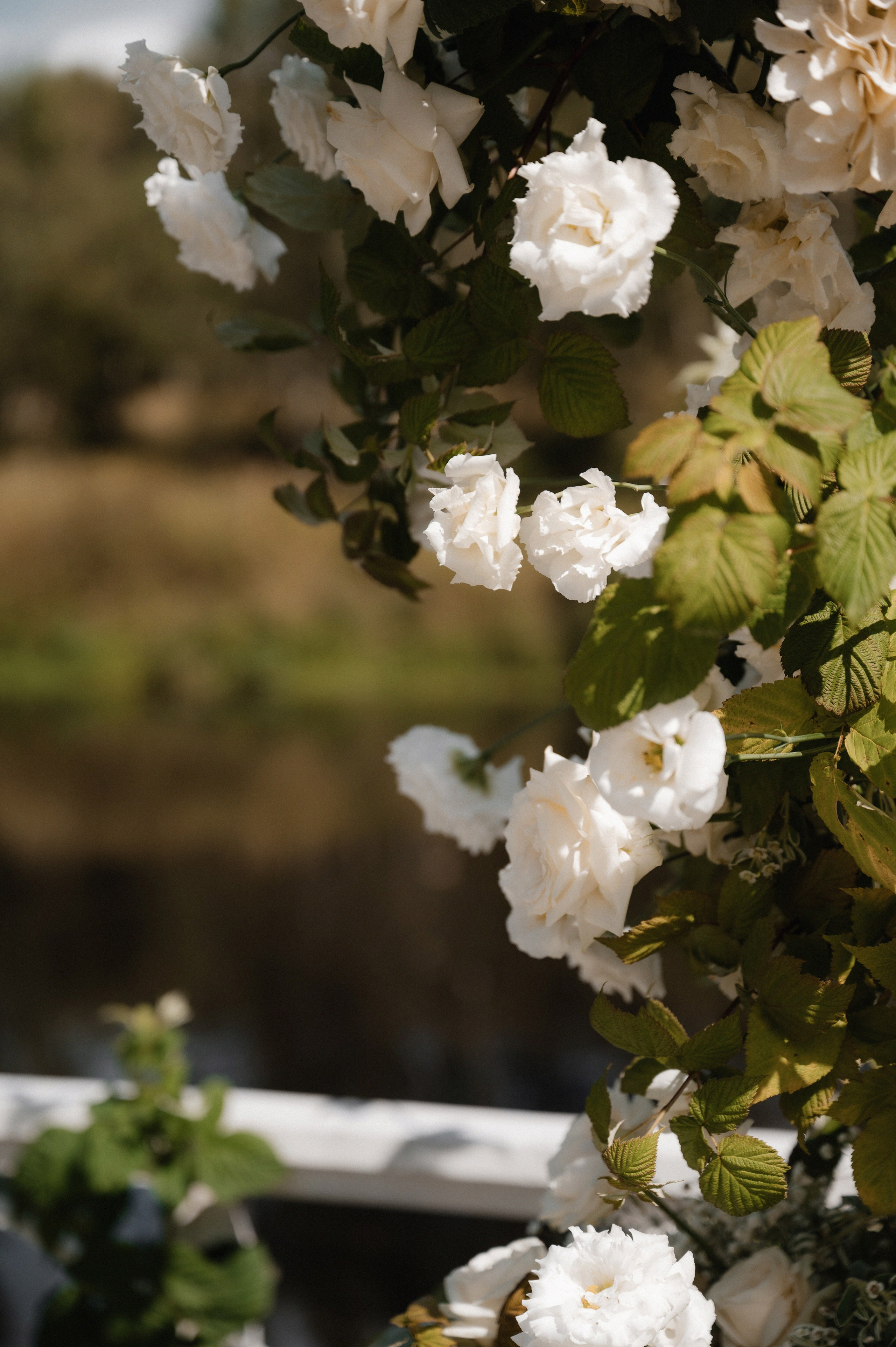 Дмитрий и Анна Рябина хаус. Свадебный фотограф Раменское-Москва