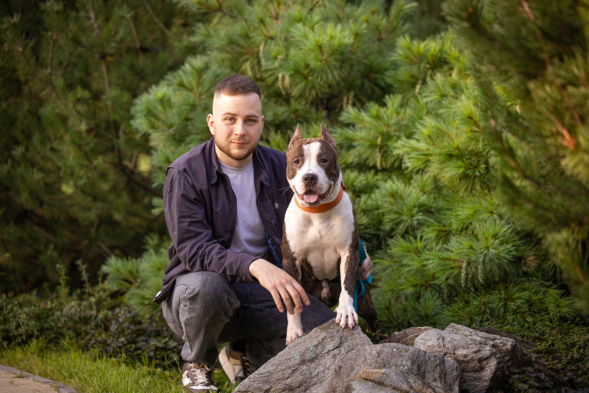 Амстафф Честер и его семья. Фотограф-анималист Natalia Deingel | Фотосъемка собак в Москве