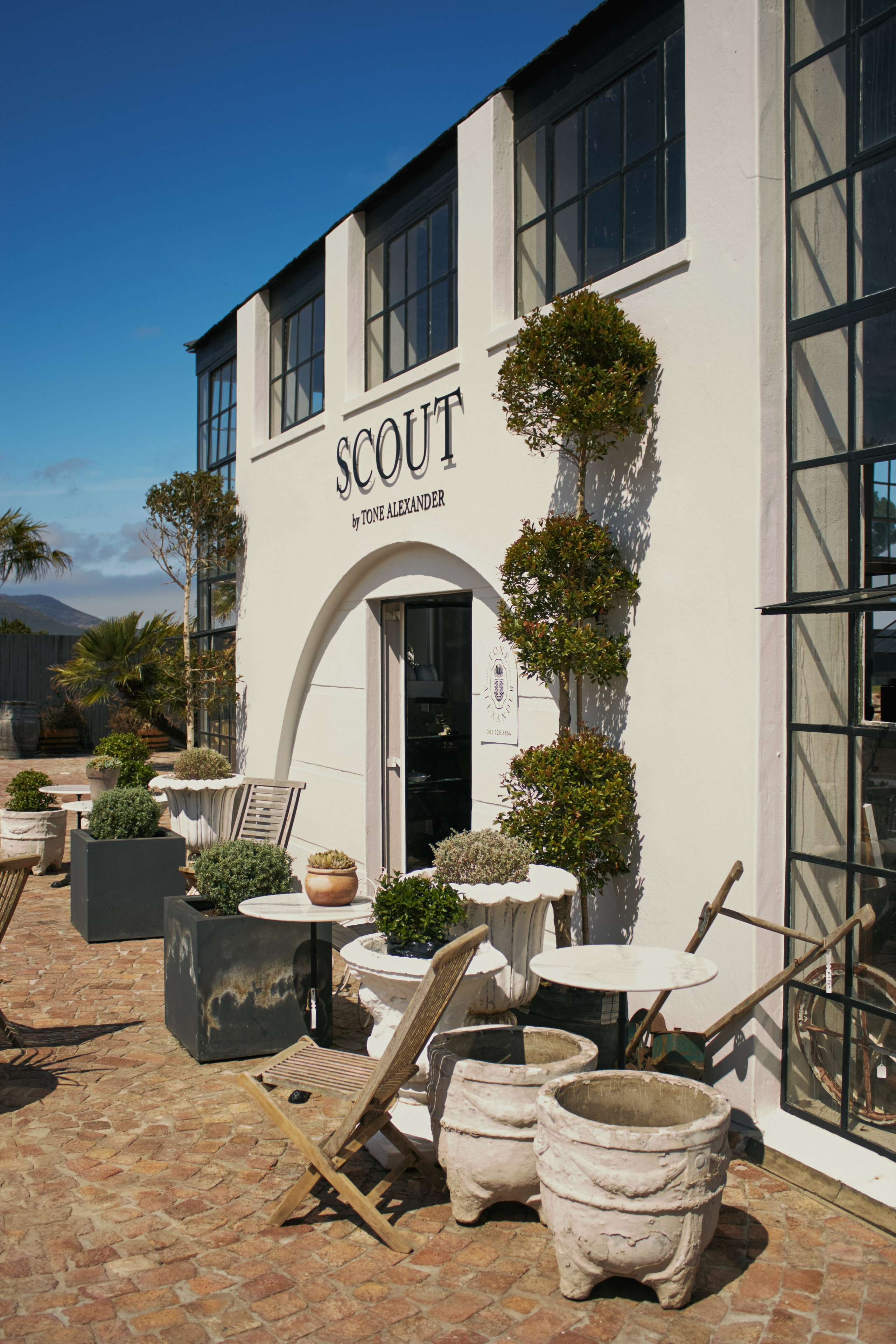 ЮАР. Профессиональный Фотограф во Владимире, в Москве и в Суздале — Полина Романычева