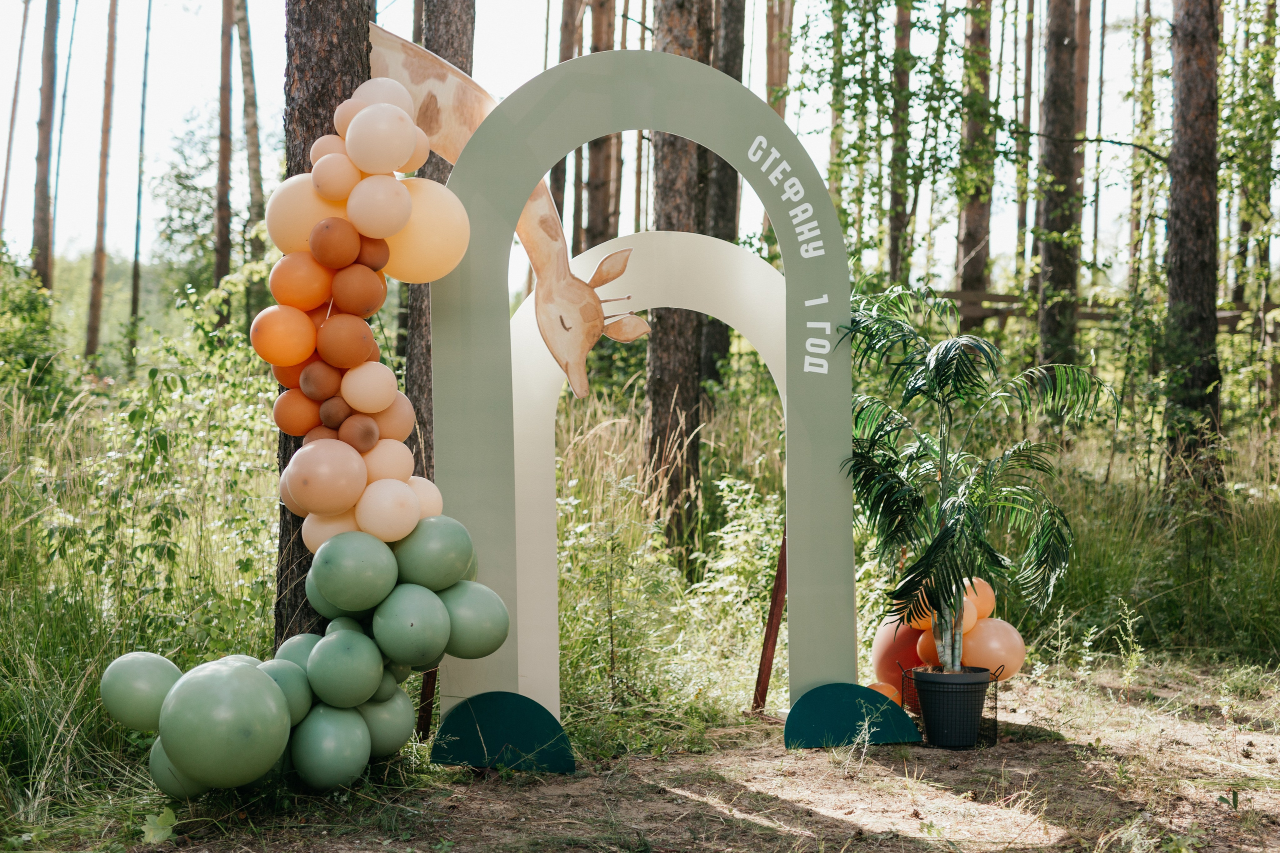 День рождения Стефана. Свадебный фотограф в Ярославле Алиса Курочкина