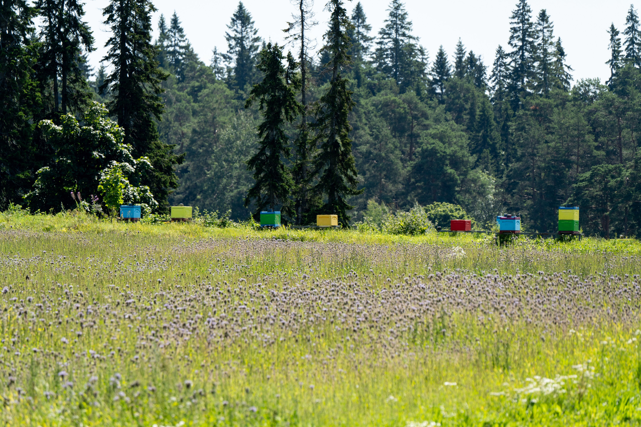 Карелия. ПОБУДЬ ЗДЕСЬ И ЦЕЛЕЕ БУДЕТ ЭТОТ МИР