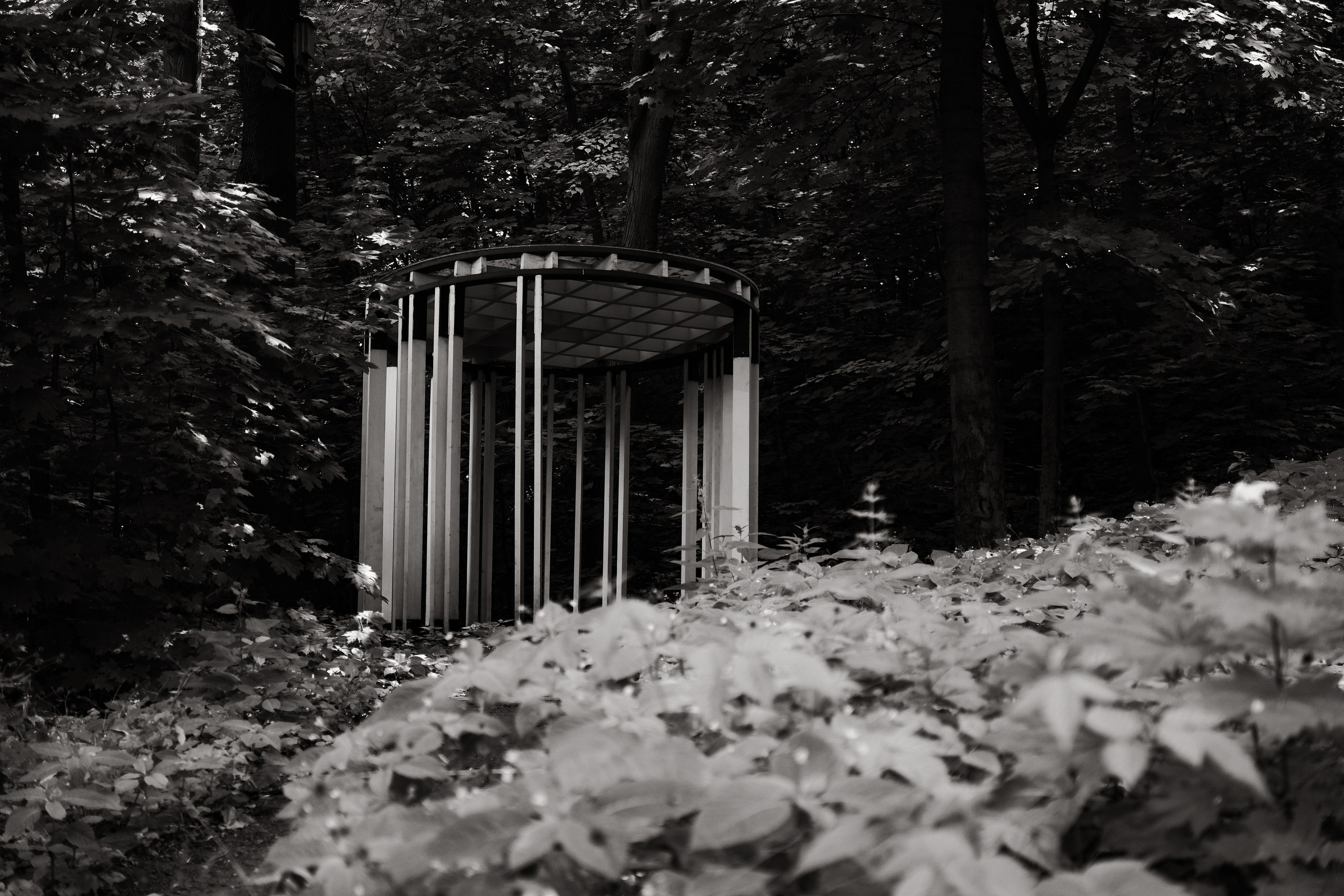 Прогулка по Воробьёвым горам. Фотограф Михаил Ерохин | Москва