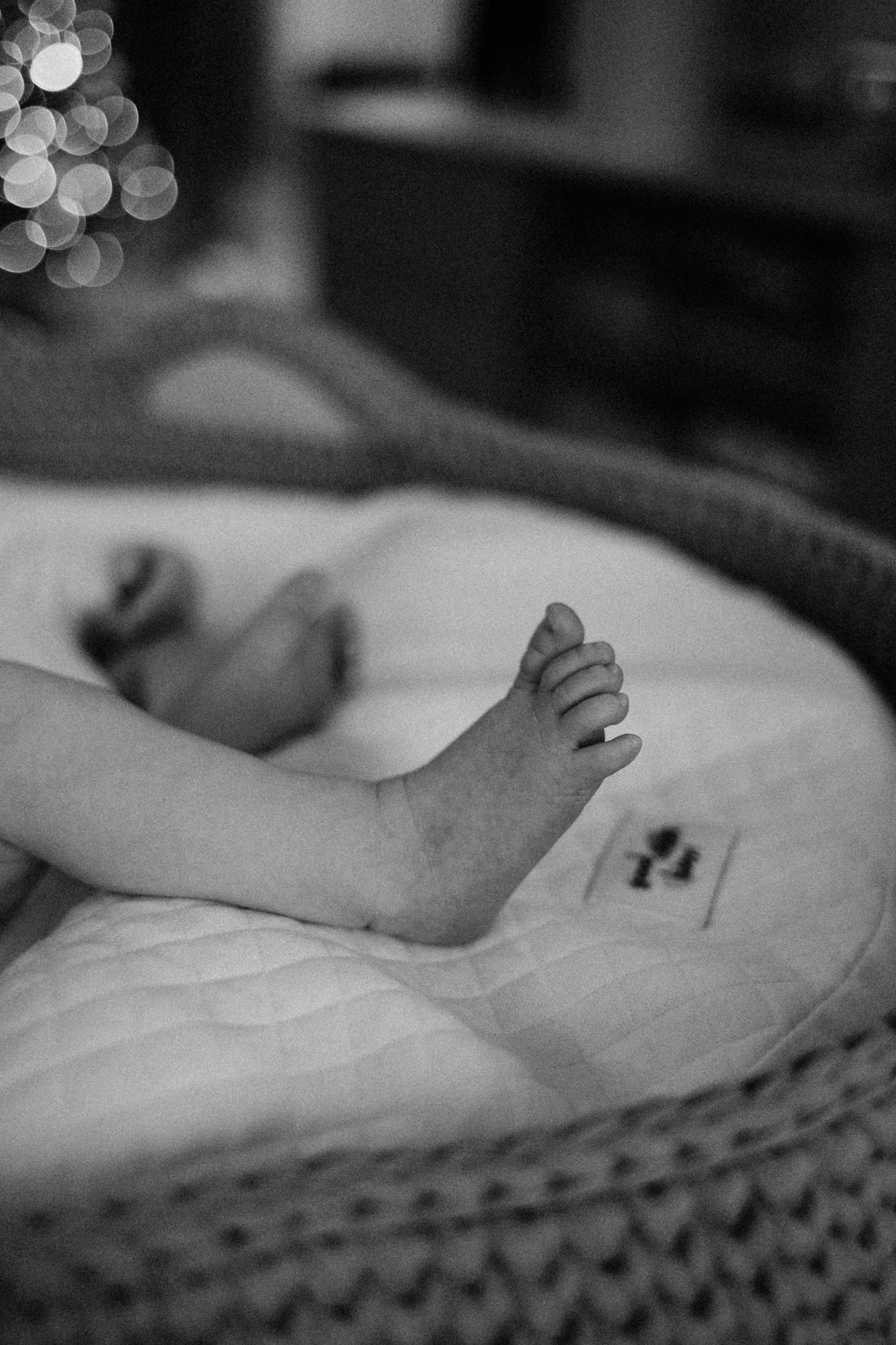 Анастасия/Андрей/Арина/2025. Свадебный и семейный фотограф в Екатеринбурге