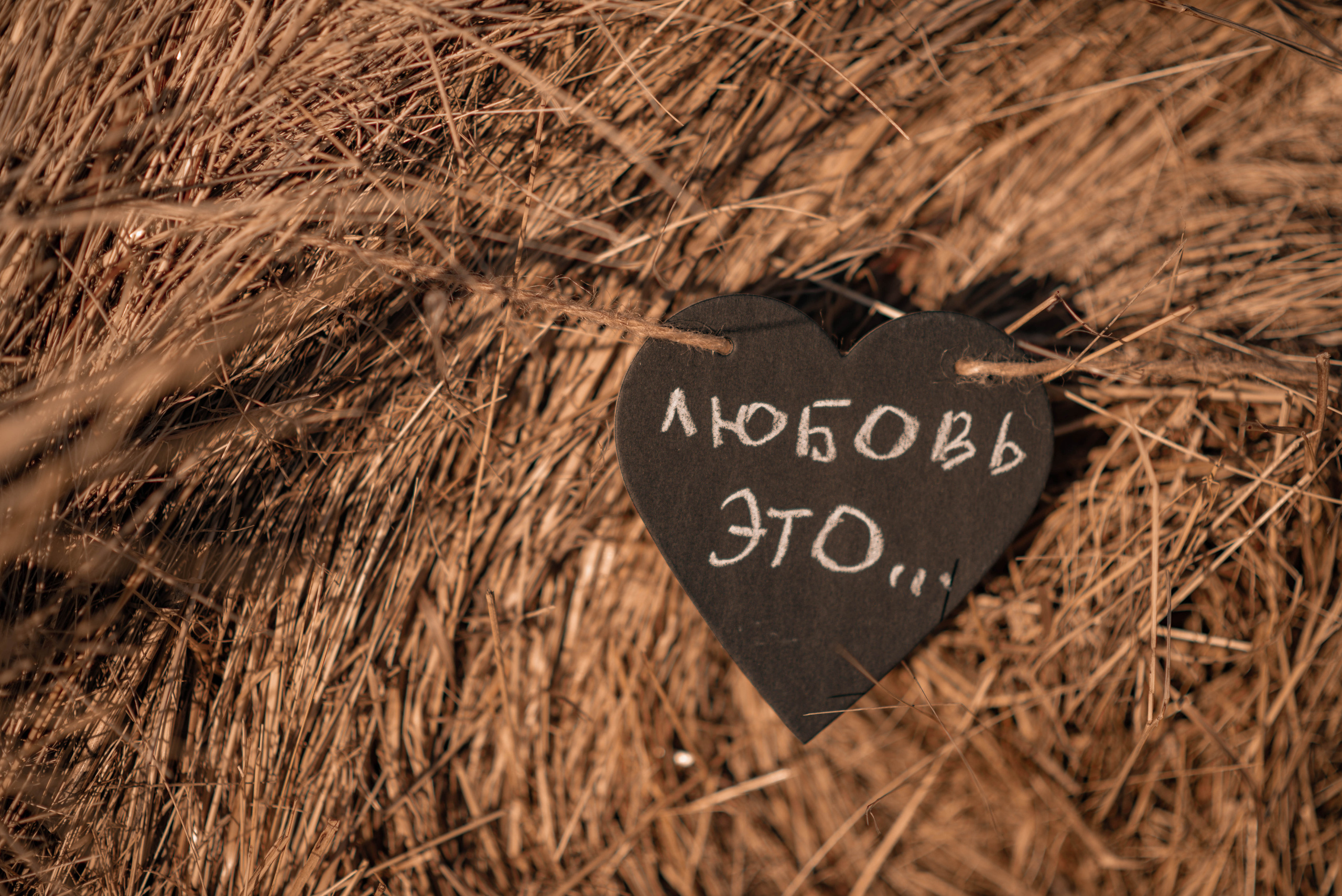 Это......Любовь. Семейный и свадебный фотограф в Абакане Юлия Су