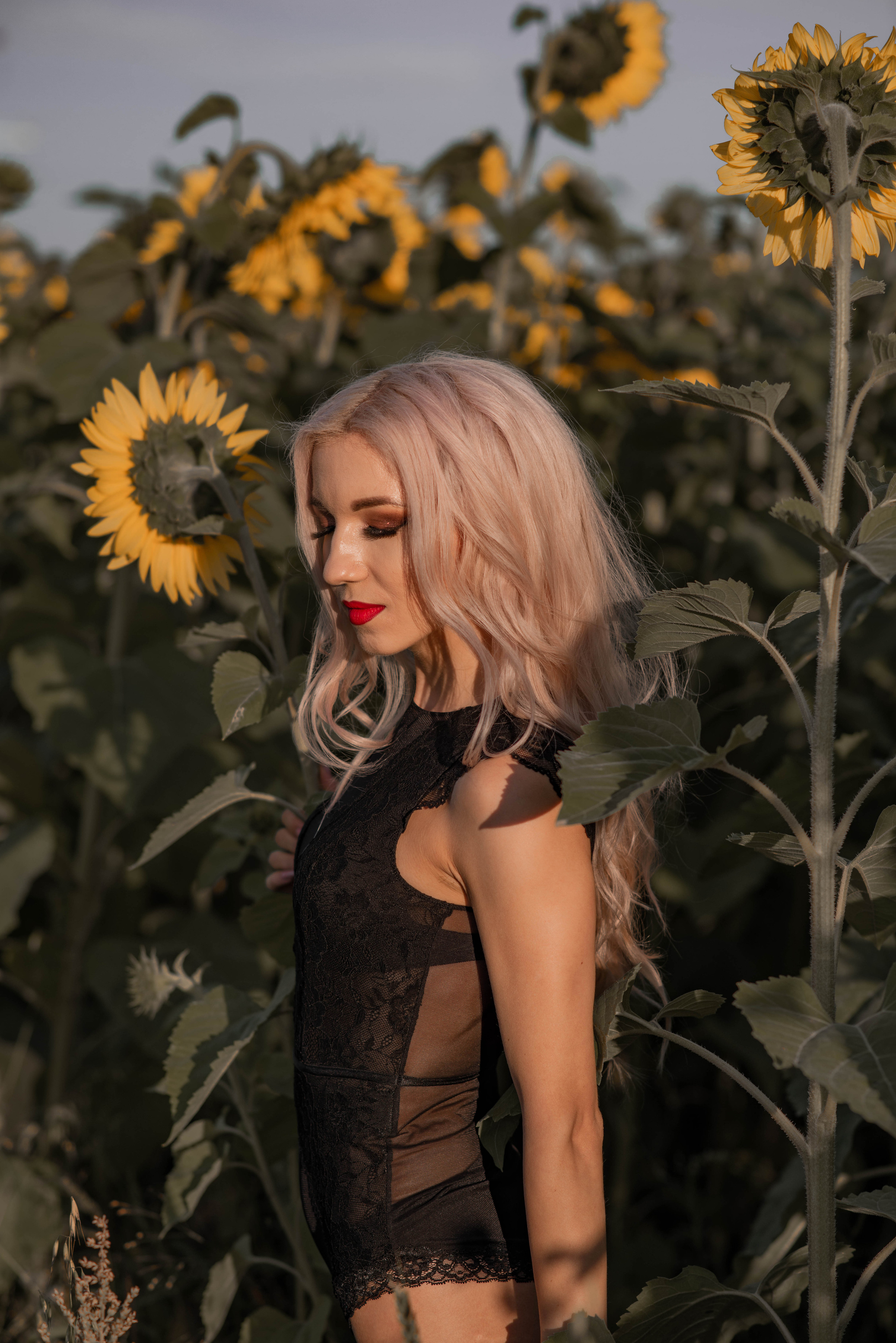 В поле с подсолнухами. Семейный и свадебный фотограф в Абакане Юлия Су