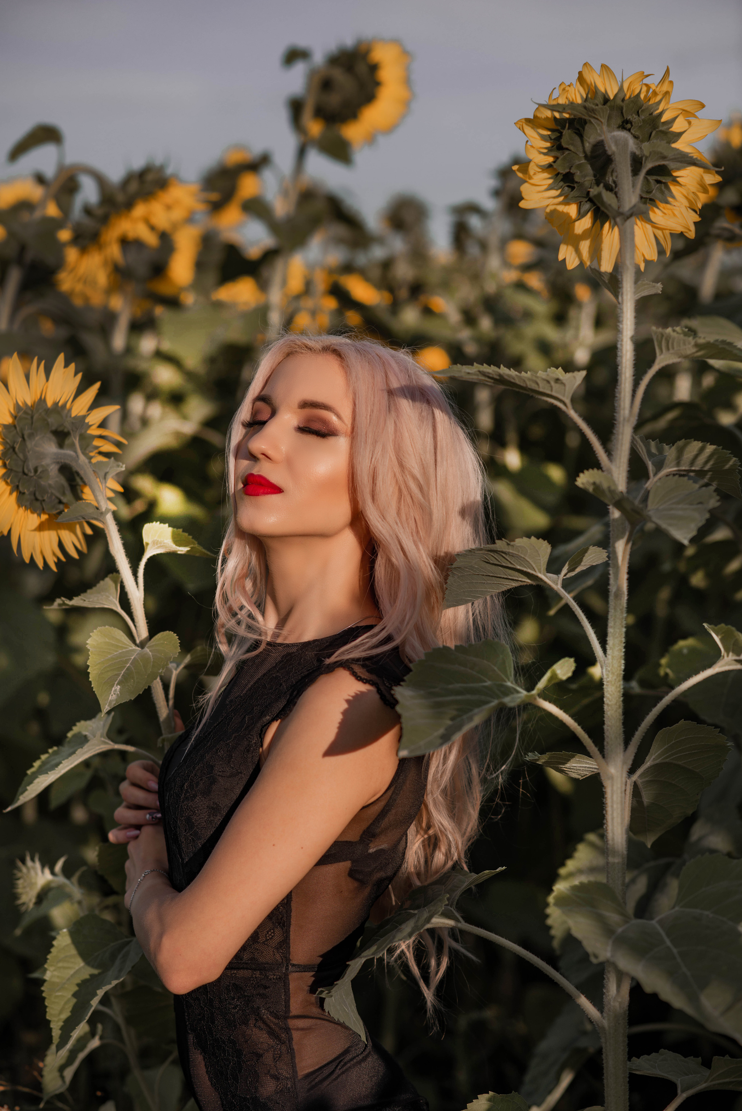 В поле с подсолнухами. Семейный и свадебный фотограф в Абакане Юлия Су