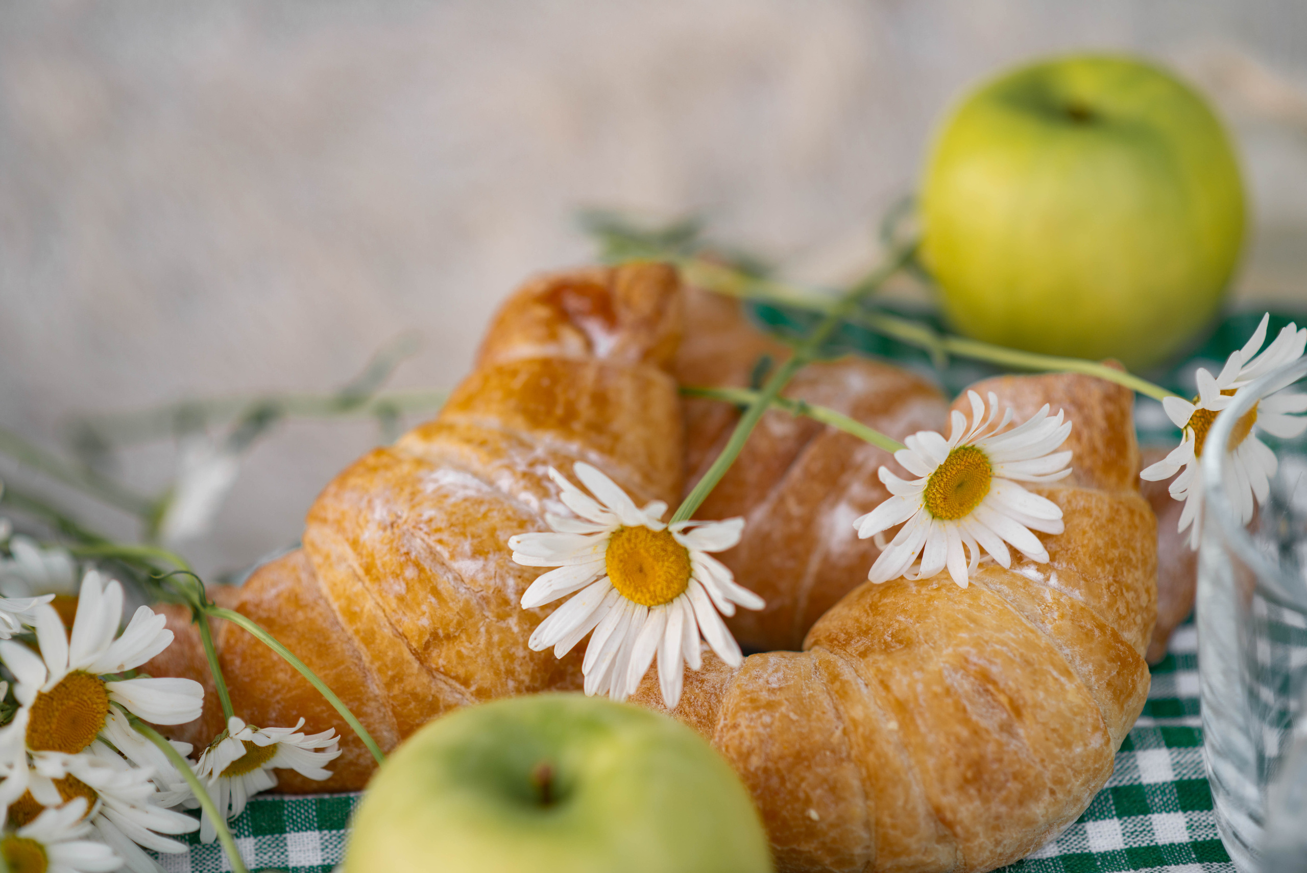 Лиза и Николай. Семейный и свадебный фотограф в Абакане Юлия Су