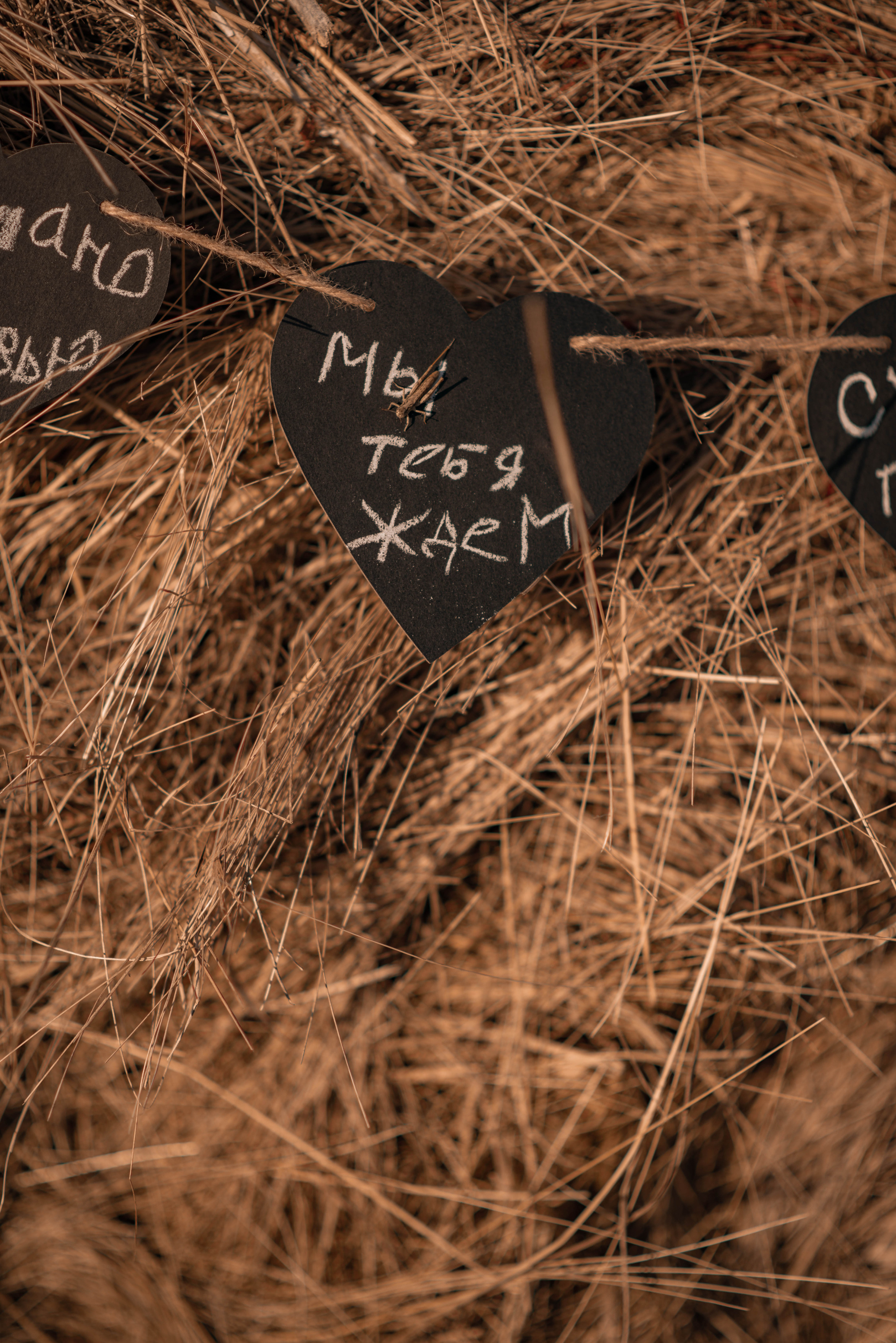 Это......Любовь. Семейный и свадебный фотограф в Абакане Юлия Су