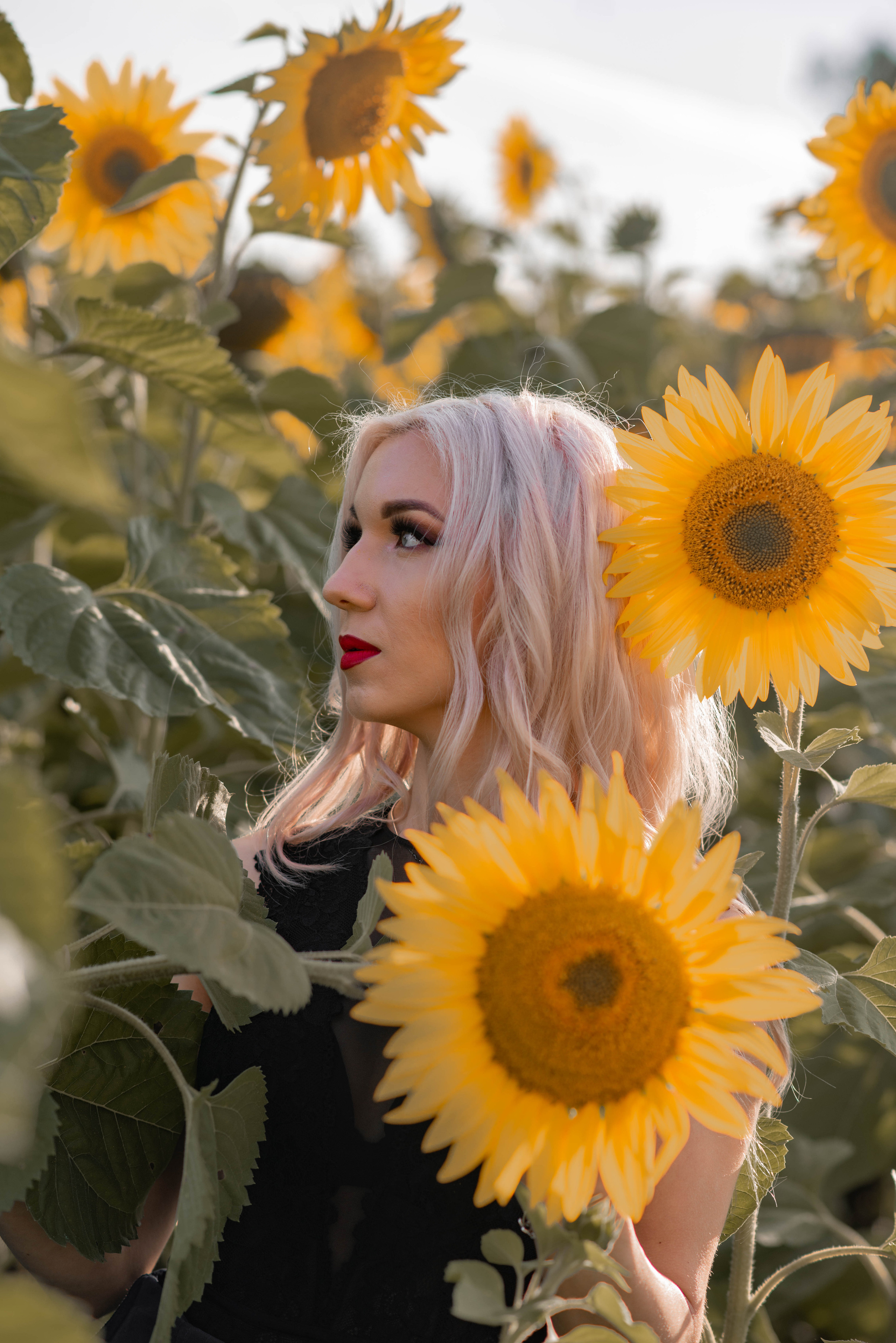 В поле с подсолнухами. Семейный и свадебный фотограф в Абакане Юлия Су