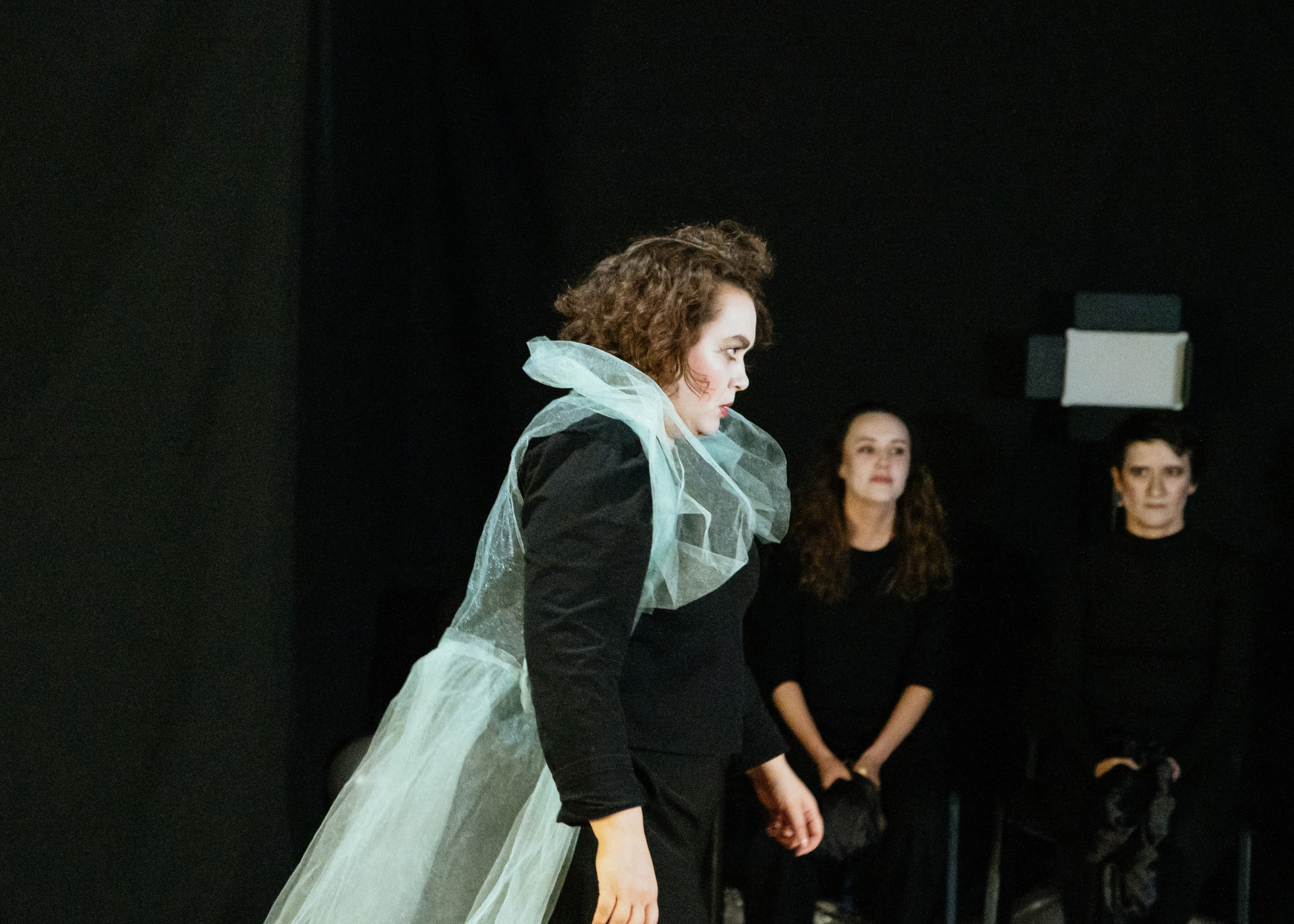 Shakespeare. Art-photographer Ira Wind