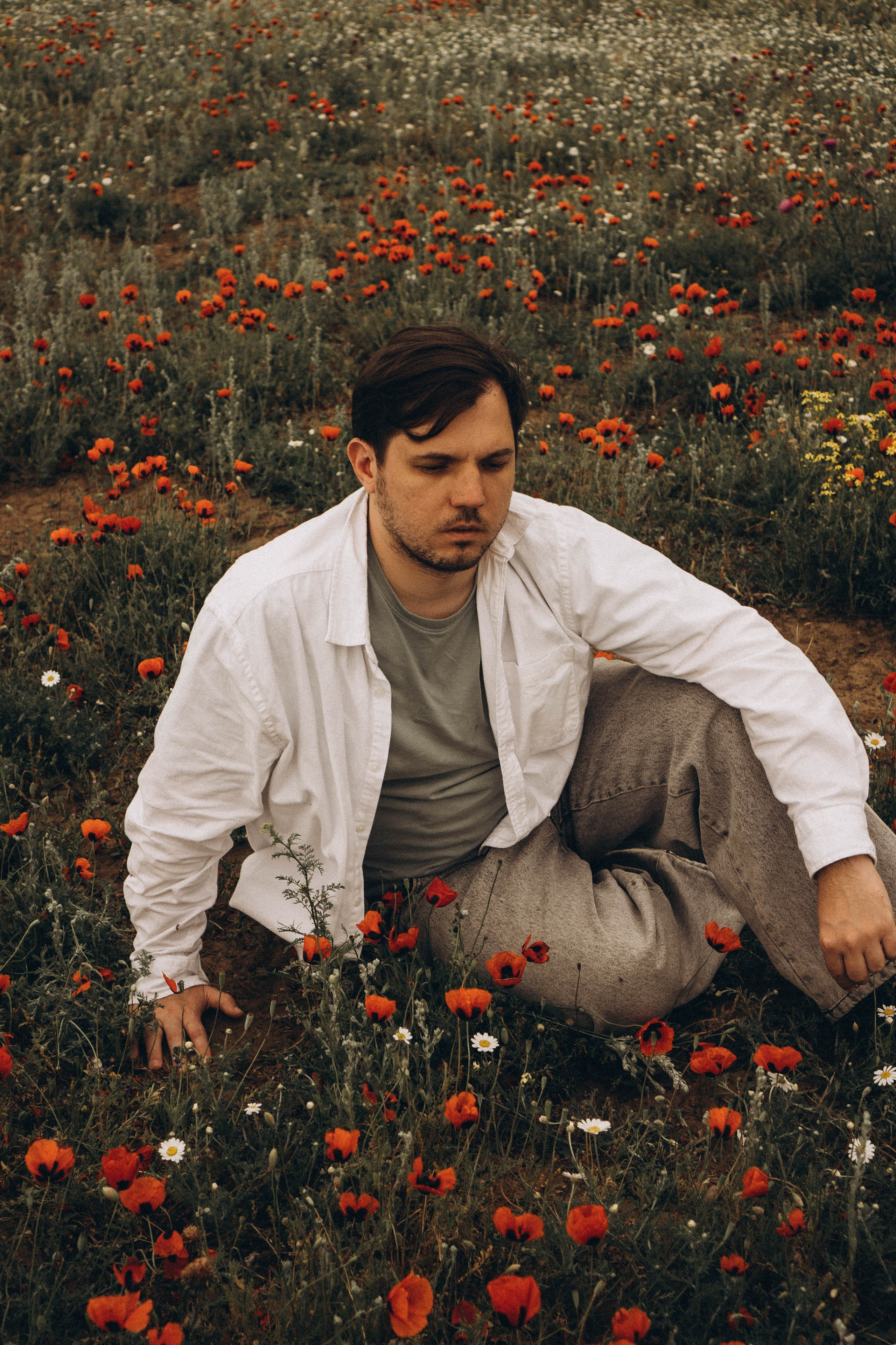 Маки. Профессиональный фотограф, Санкт-Петербург — Виктория Богомолова