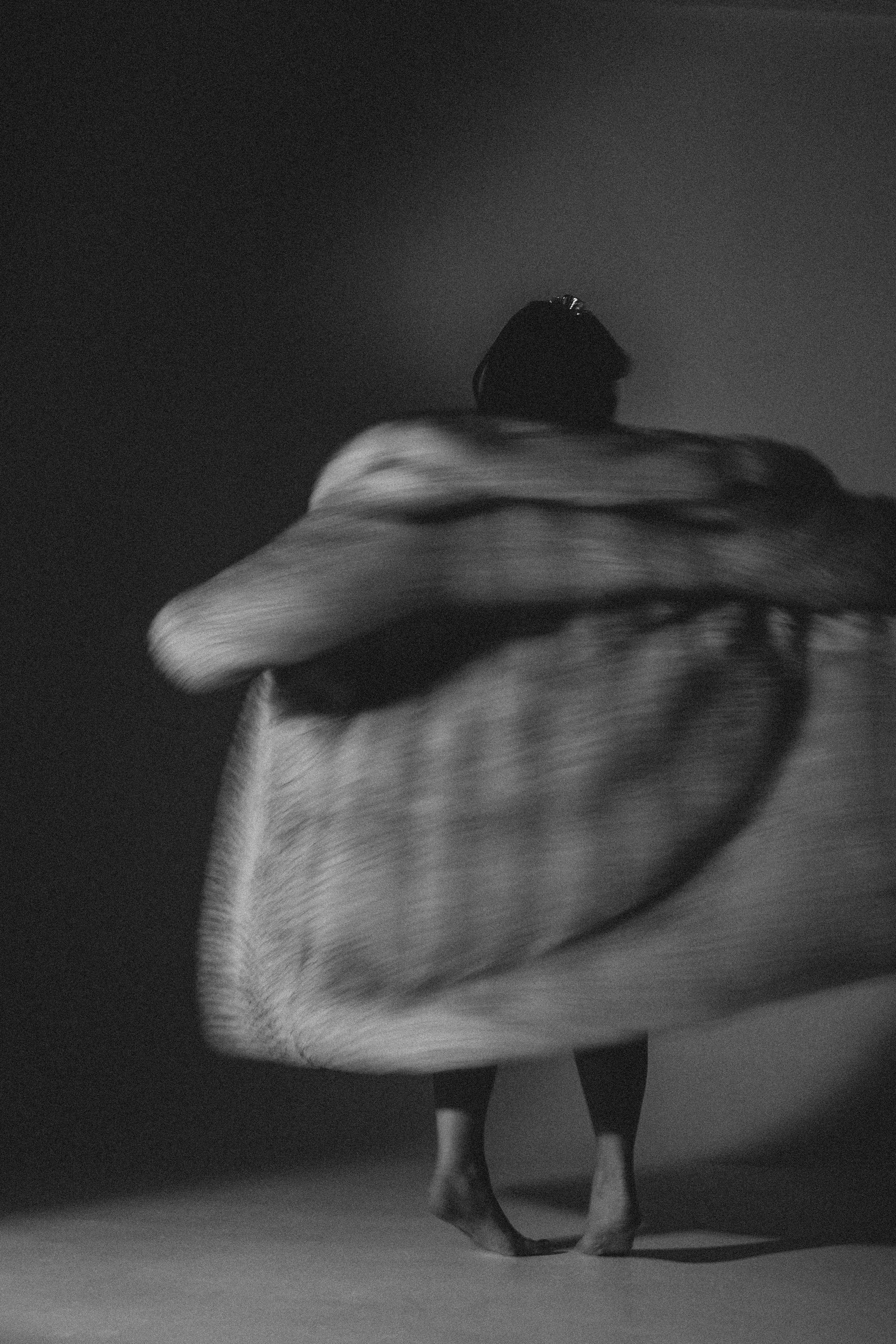 История ко дню рождения. Профессиональный фотограф, Санкт-Петербург — Виктория Богомолова