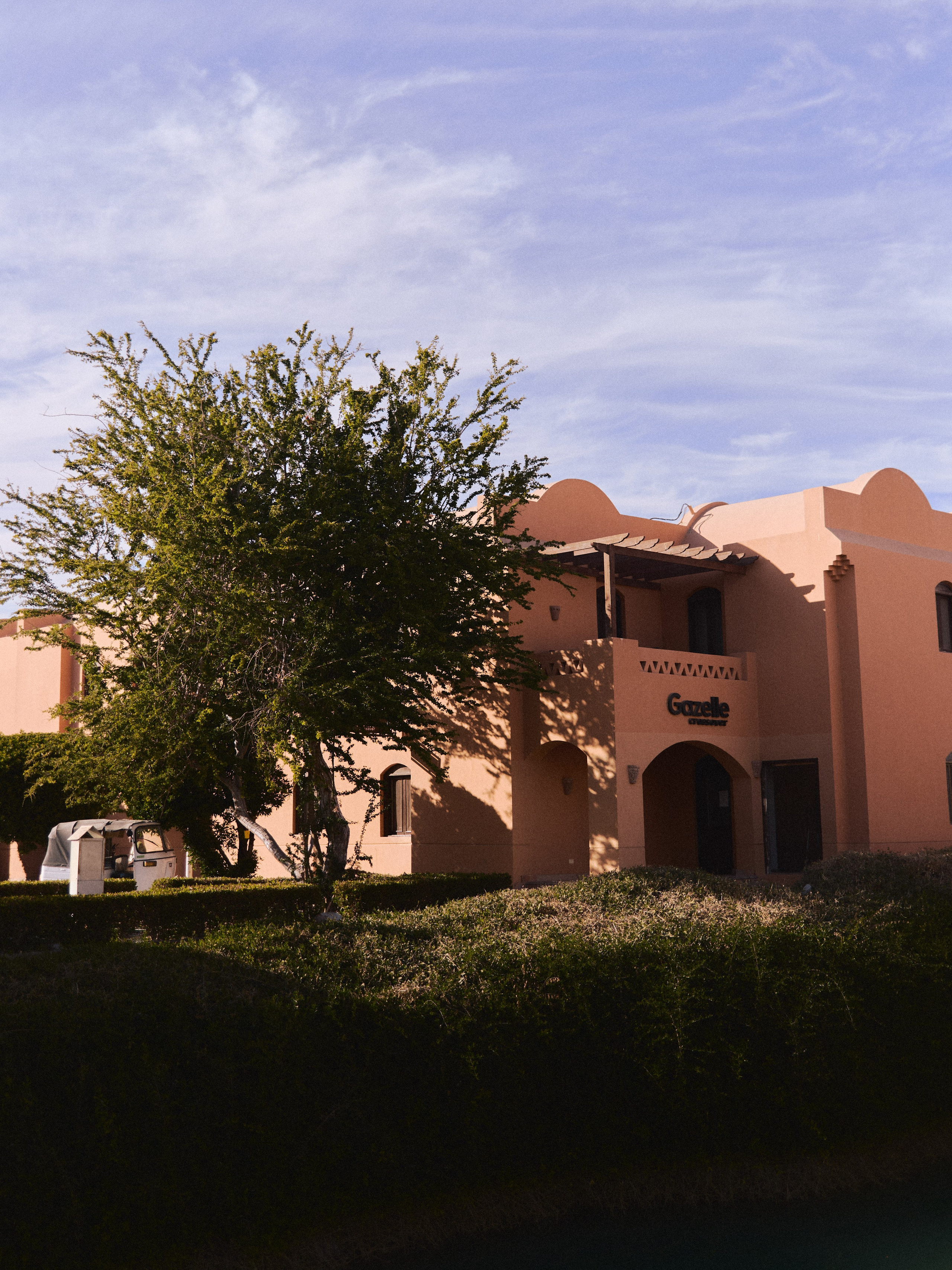 Природа сквозь. Jorgis Talè — photographer, kind person, teacher of arts and other mag