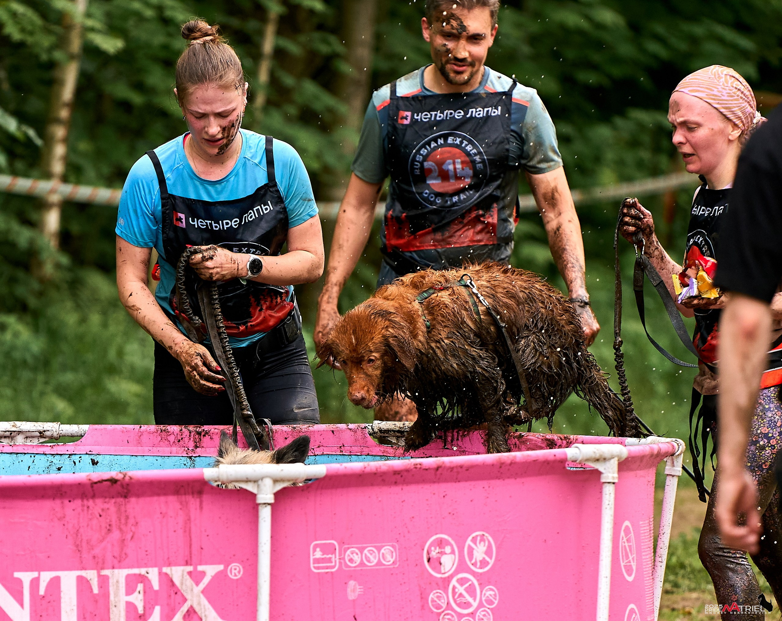 Russian Extreme Dog Trail — 2025