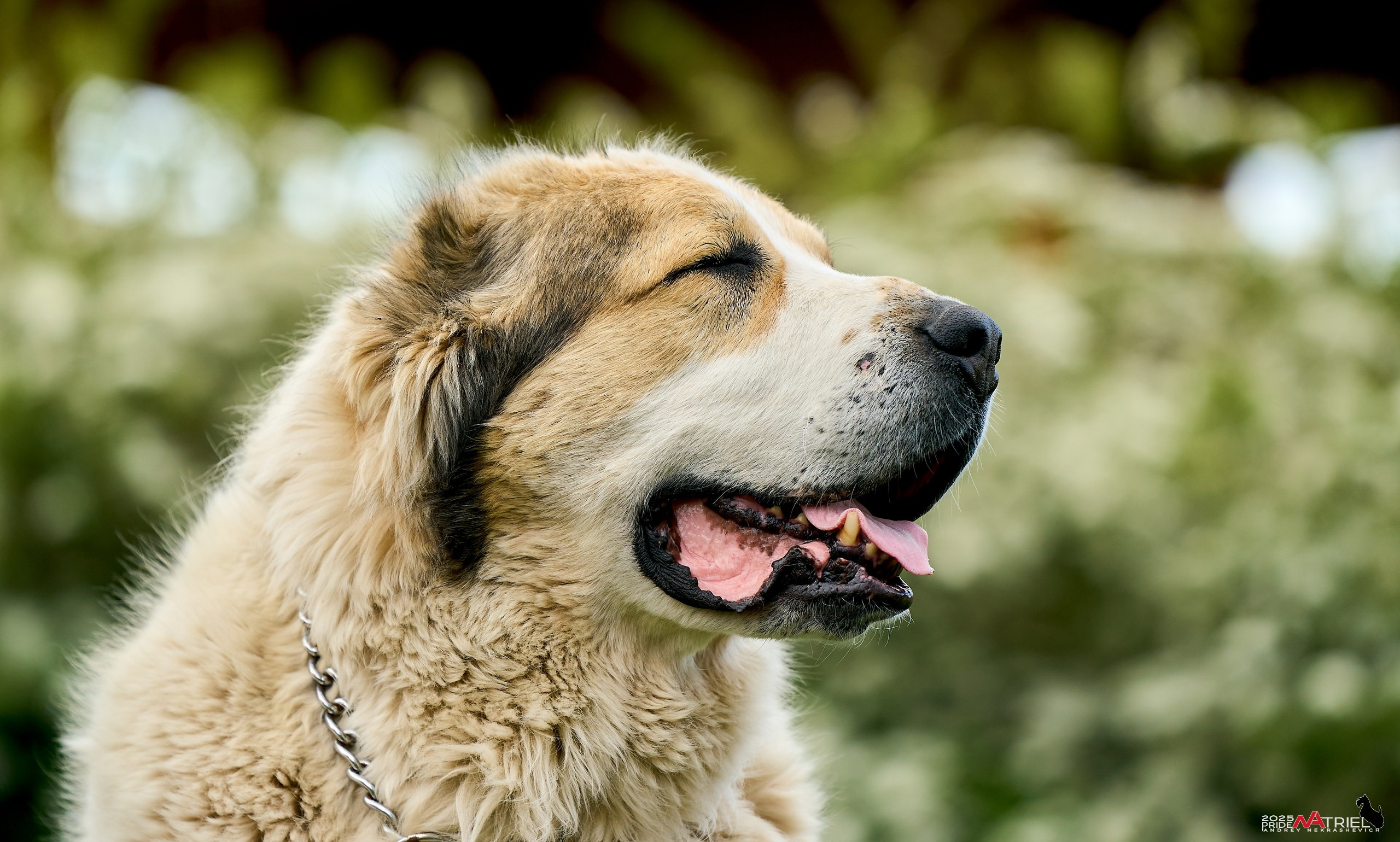 Съемка в питомнике