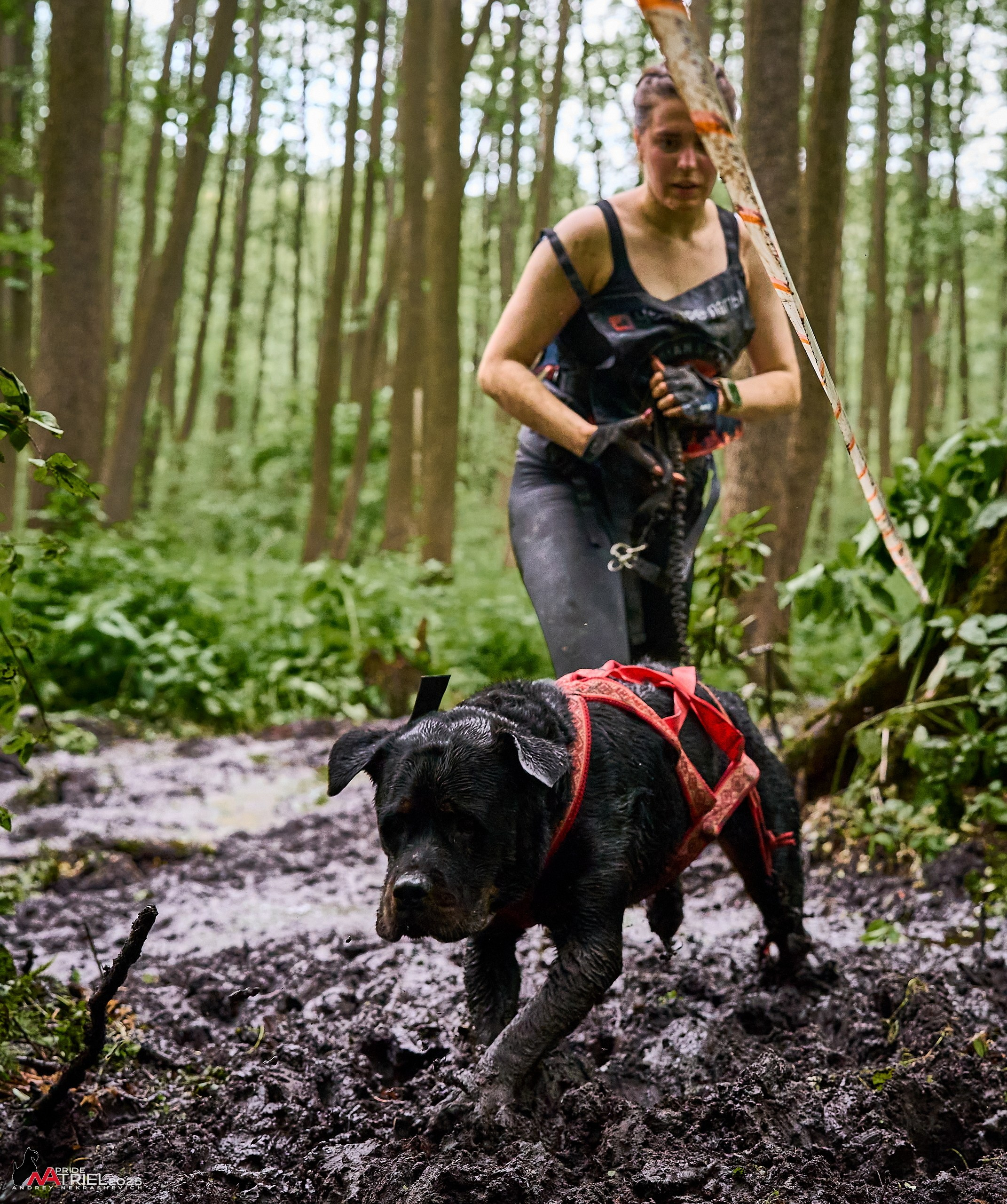 Russian Extreme Dog Trail — 2025