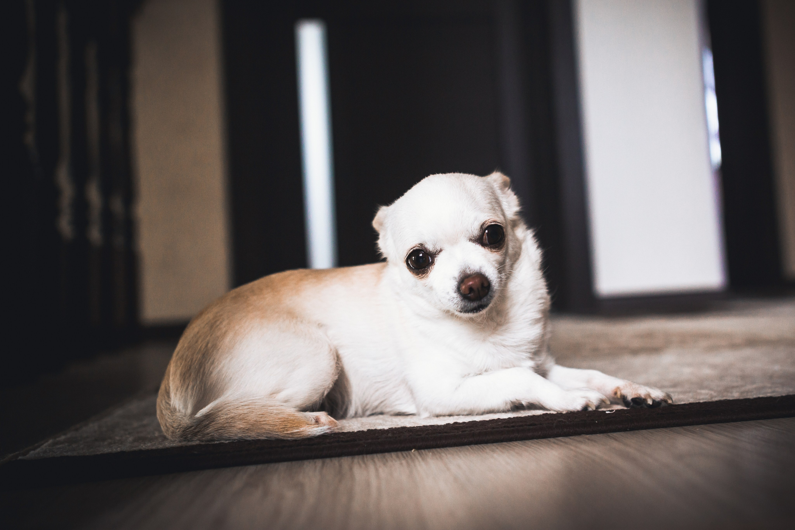 Ксения и Сергей