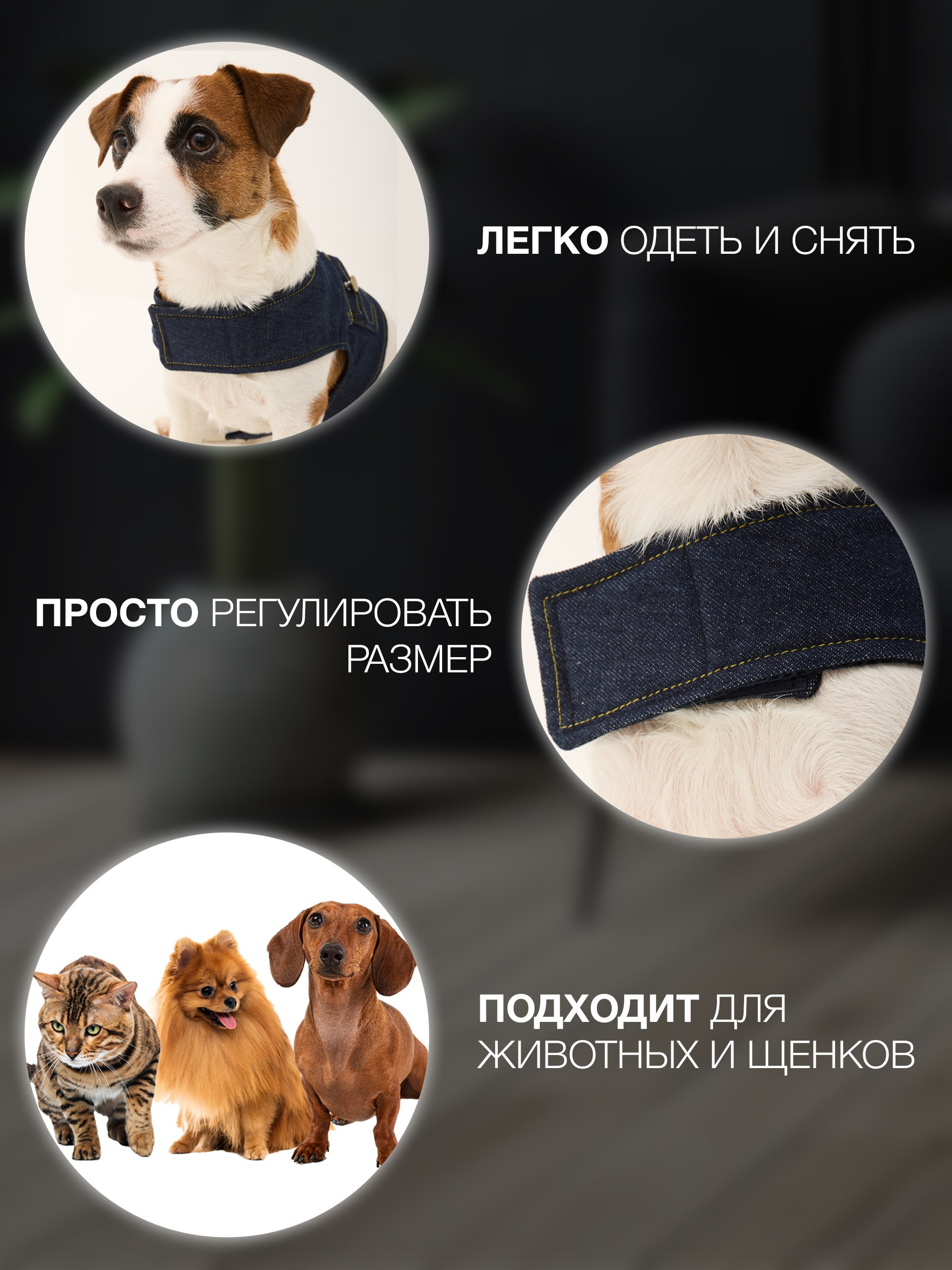 Инфографика. IDeAI studio