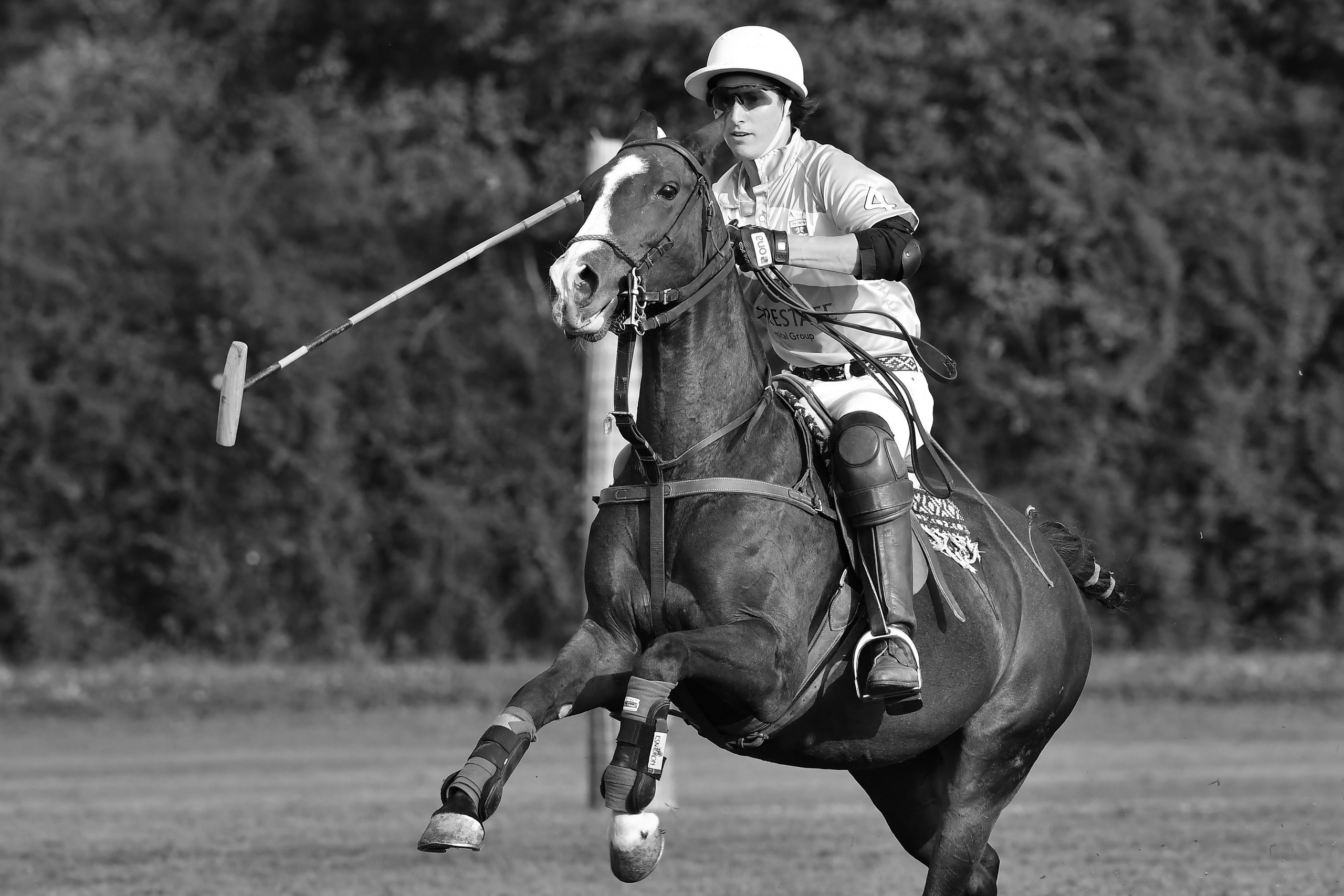Polo art photos. Art photos of horses — ARTUR BABOEV | Photographer