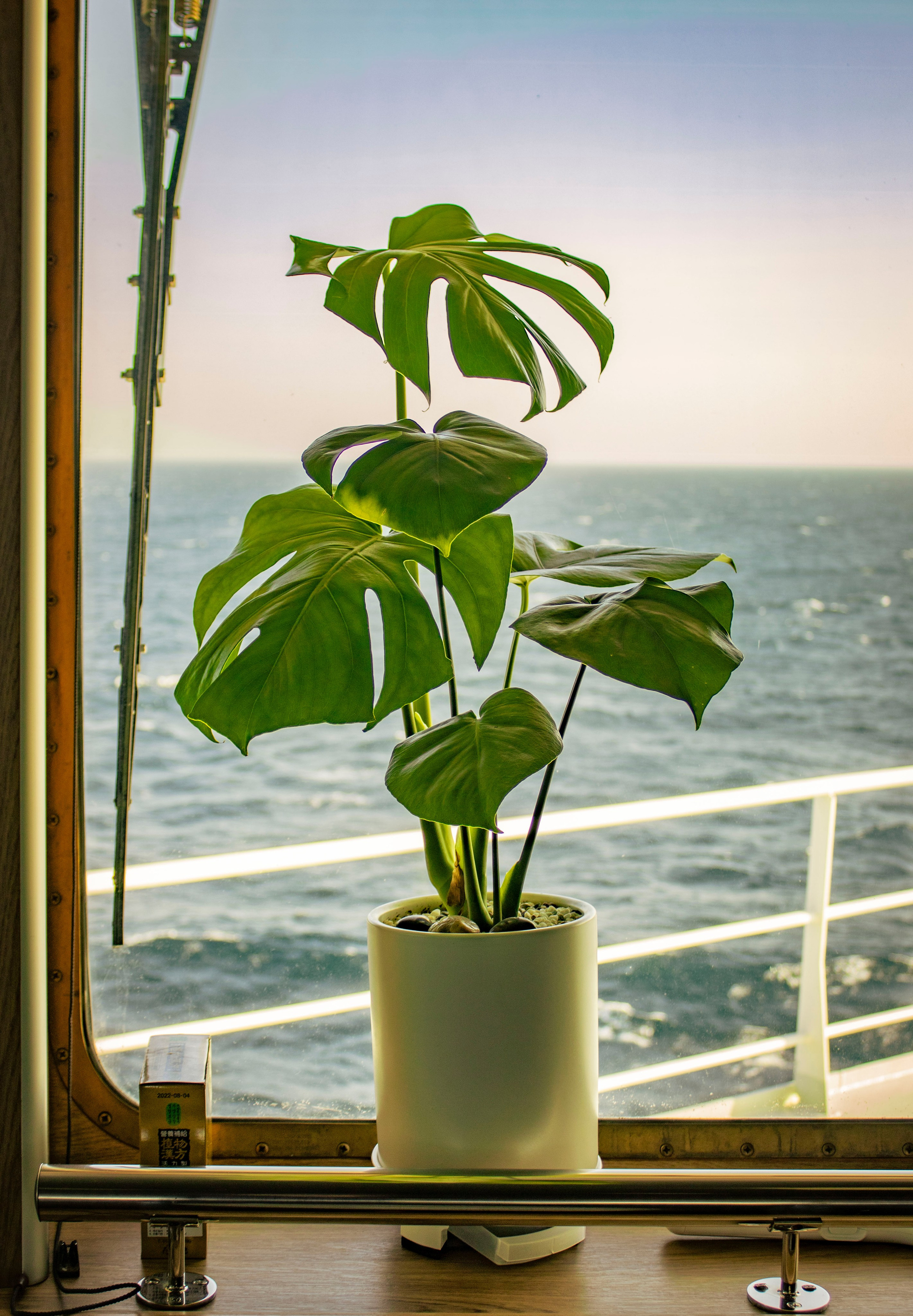 Когда я в море. Часть 1. Фотограф г. Владивосток