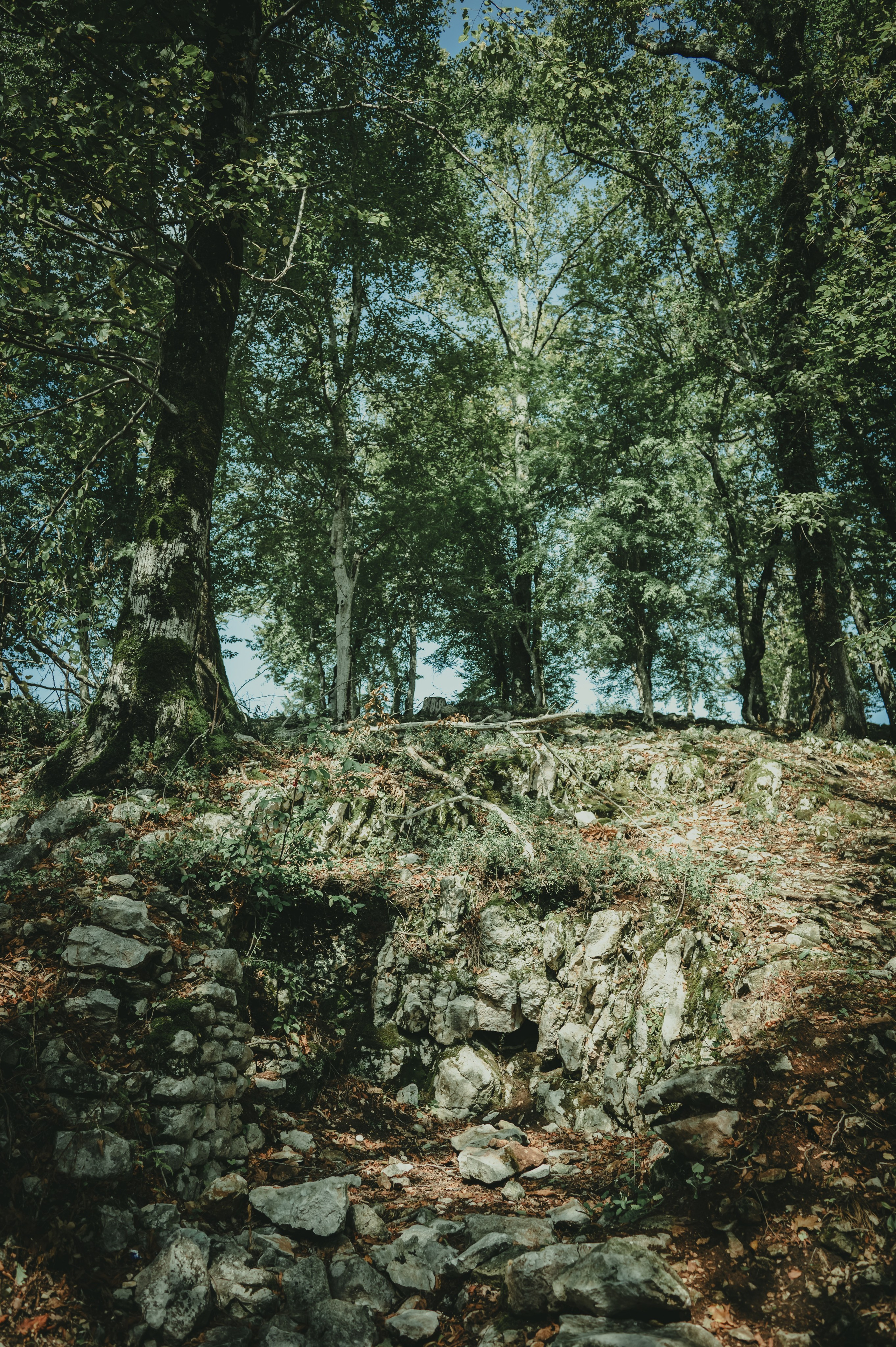Абхазия. Женский фотограф Крещение Венчание Москва Брянск