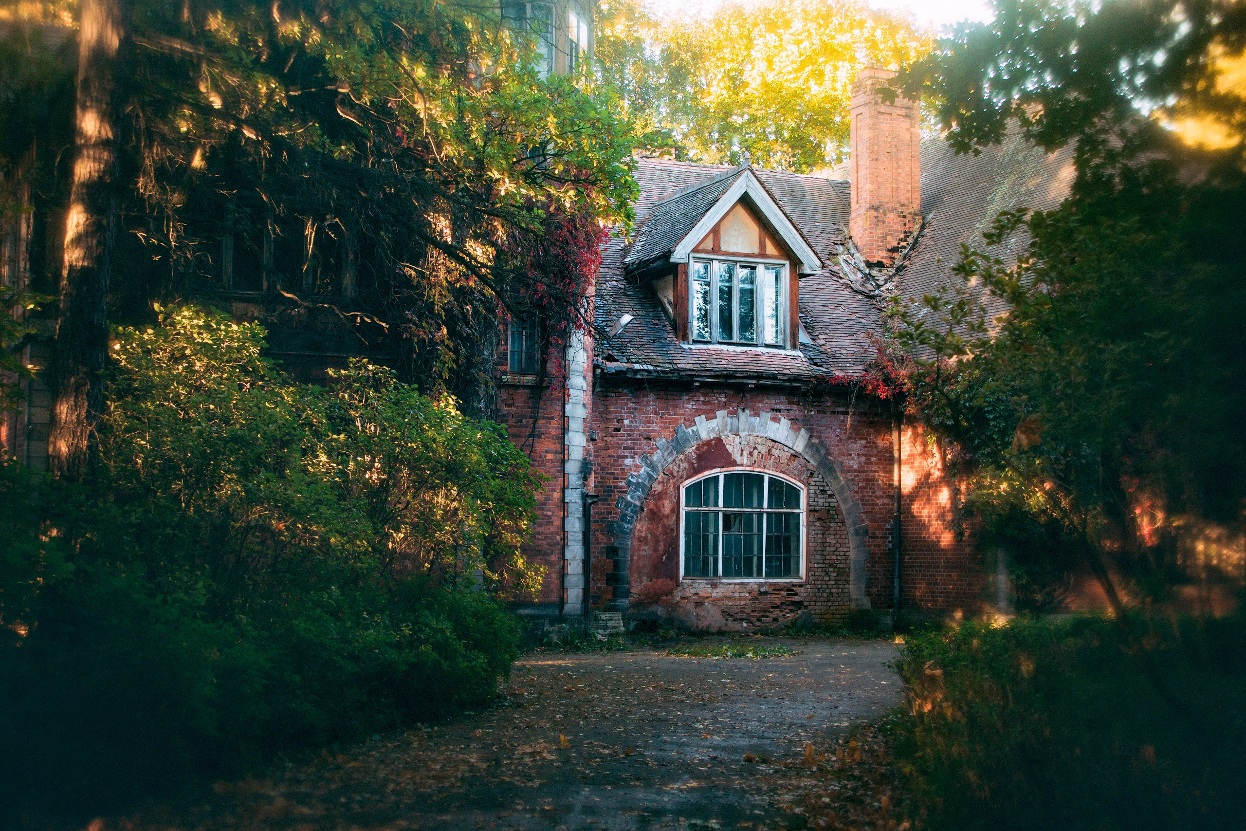 Осенние фотопрогулки в парках Пушкина. Фотограф Софья Разумовская