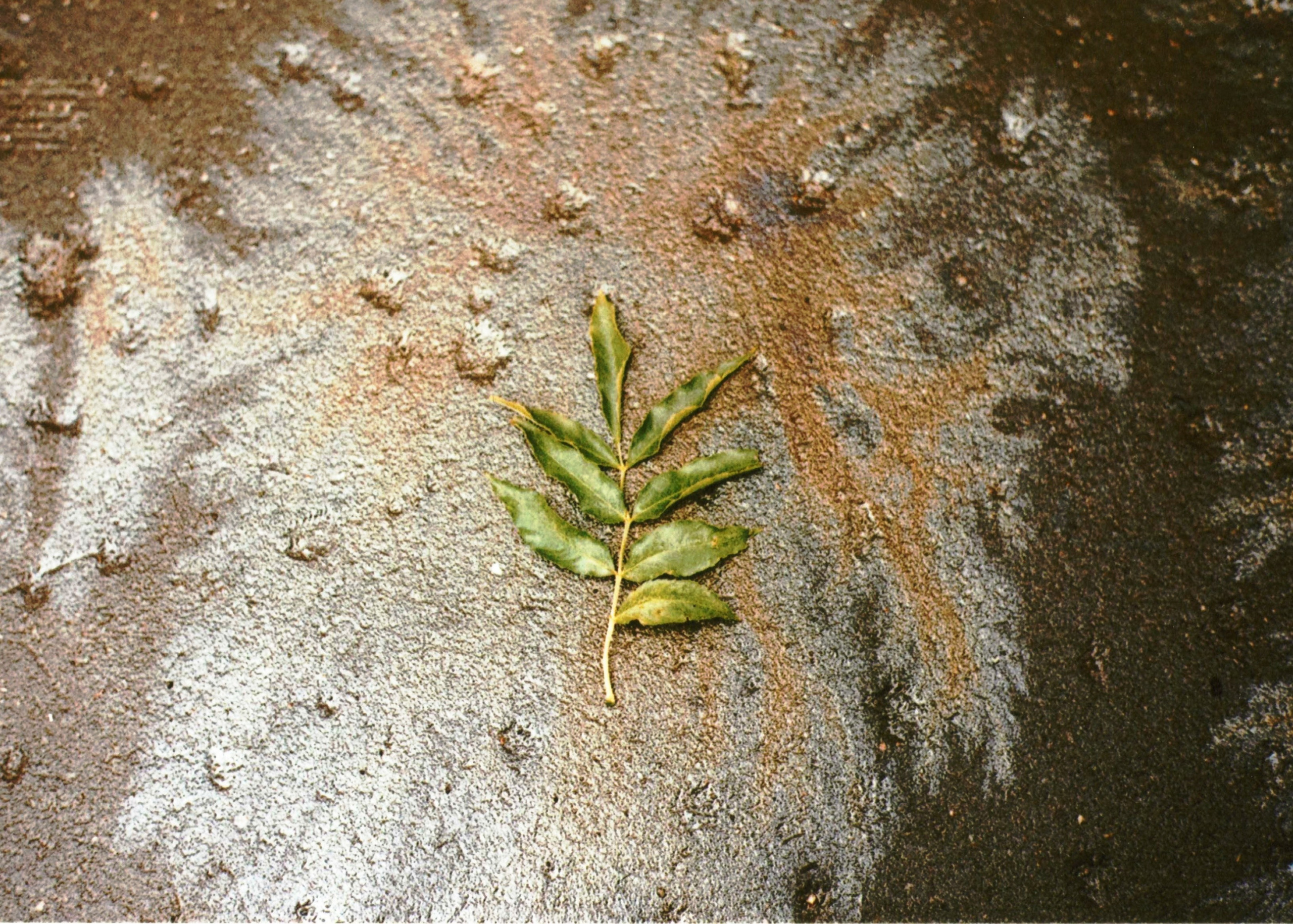 Fine Art Photography. Margarita Rodionova — a contemporary lens-based artist currently working in Cancun, Mexico