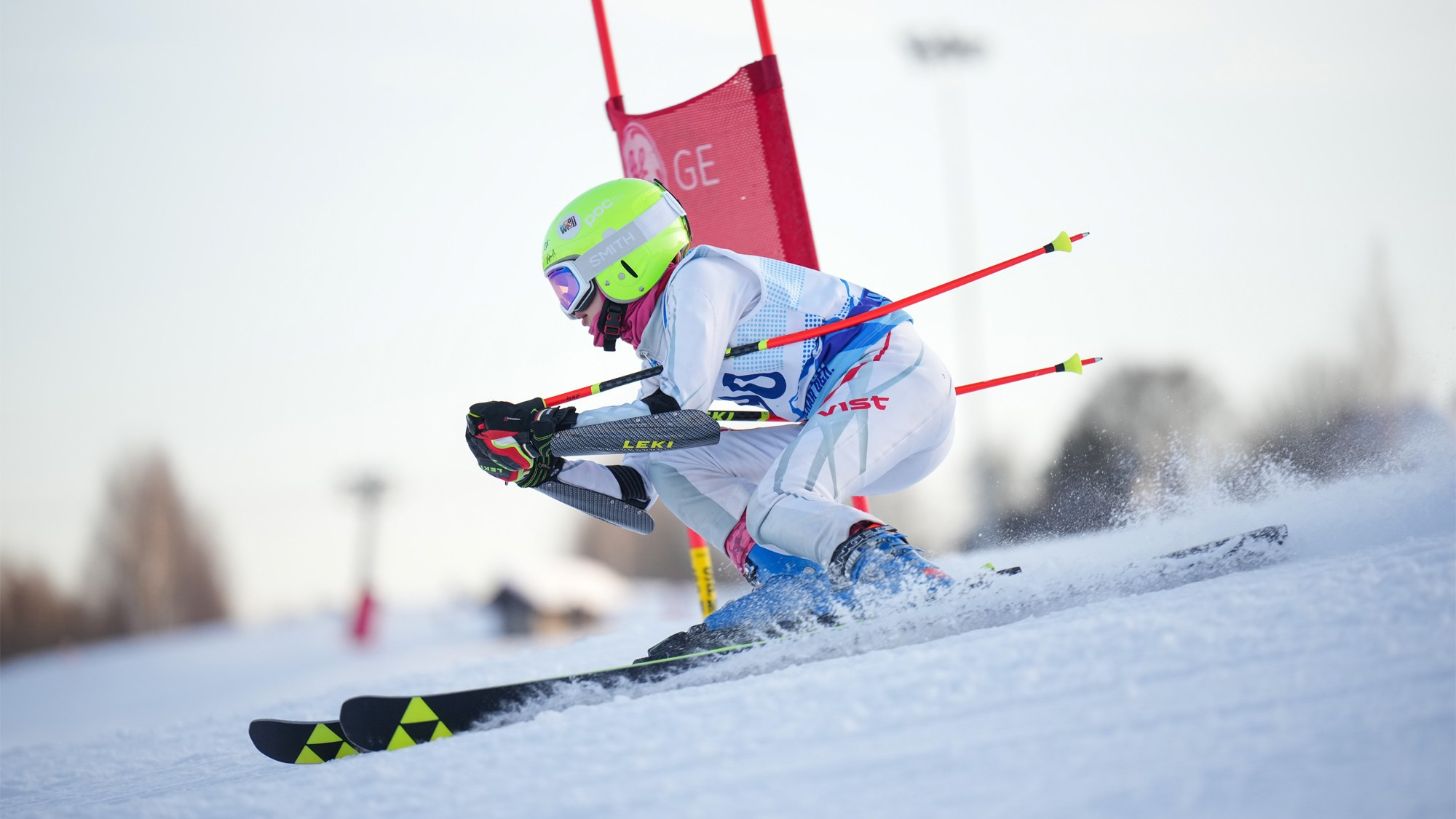 GS (Giant Slalom) - Слалом-гигант. Соревнования по горнолыжному спорту. Московская область, Шуколово