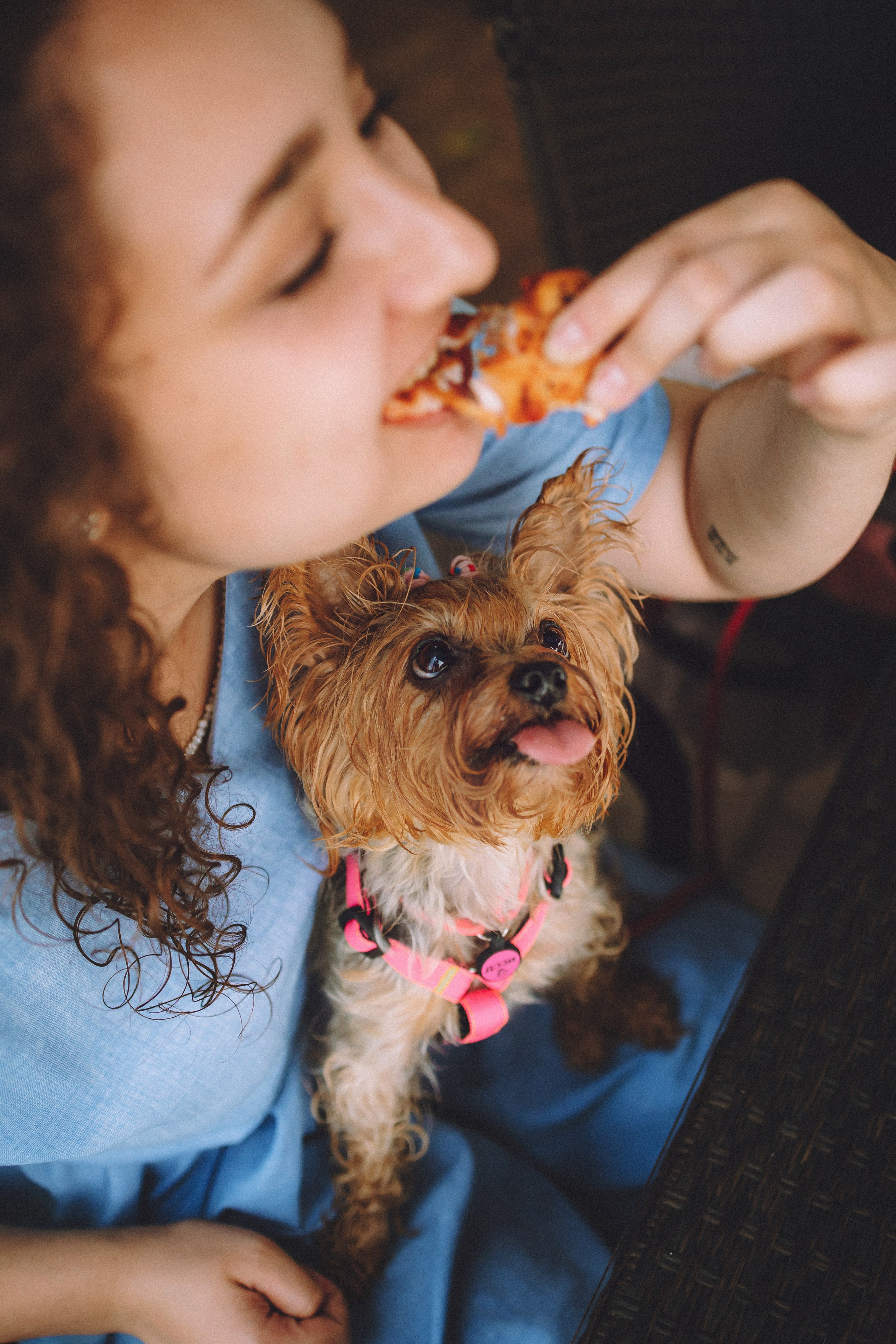 Даша и Дэзи