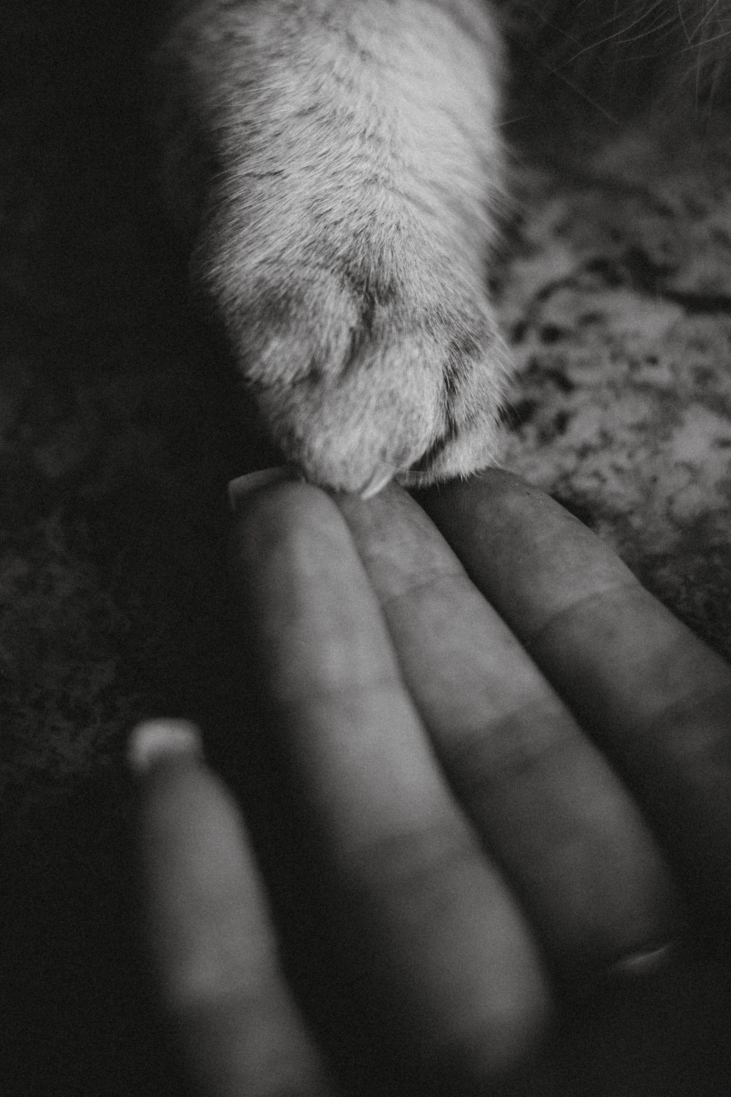 Яся и ее семья