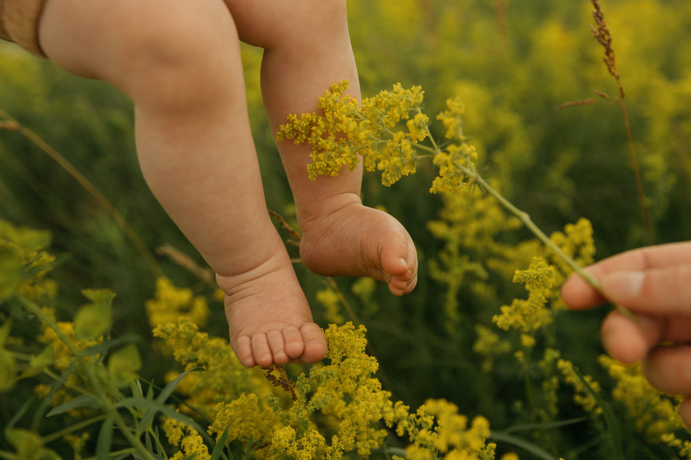 Анастасия, Алексей, Кирилл