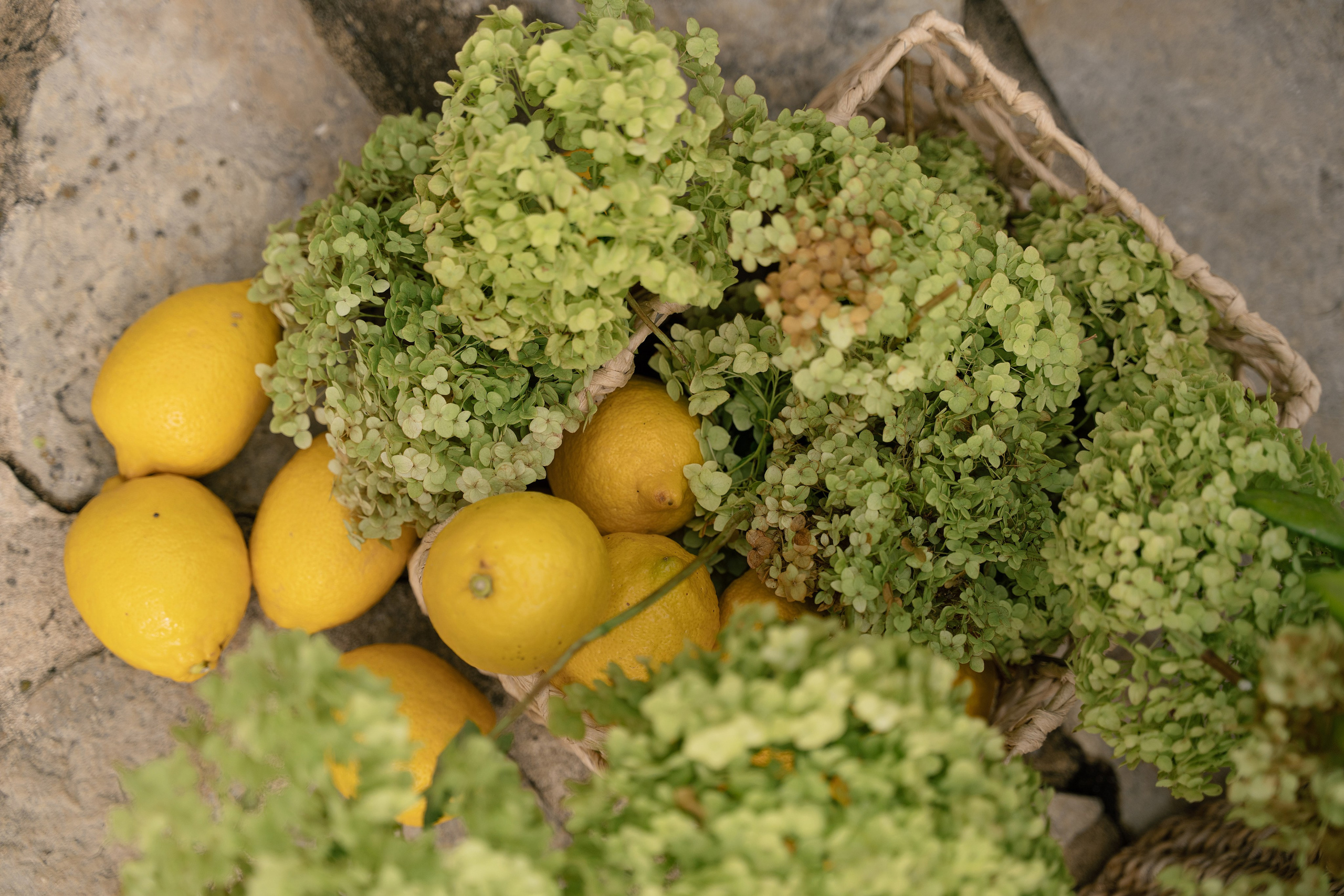 A&A. Пушистая Сова - Свадебный и портретный фотограф Воронеж, Москва, Питер