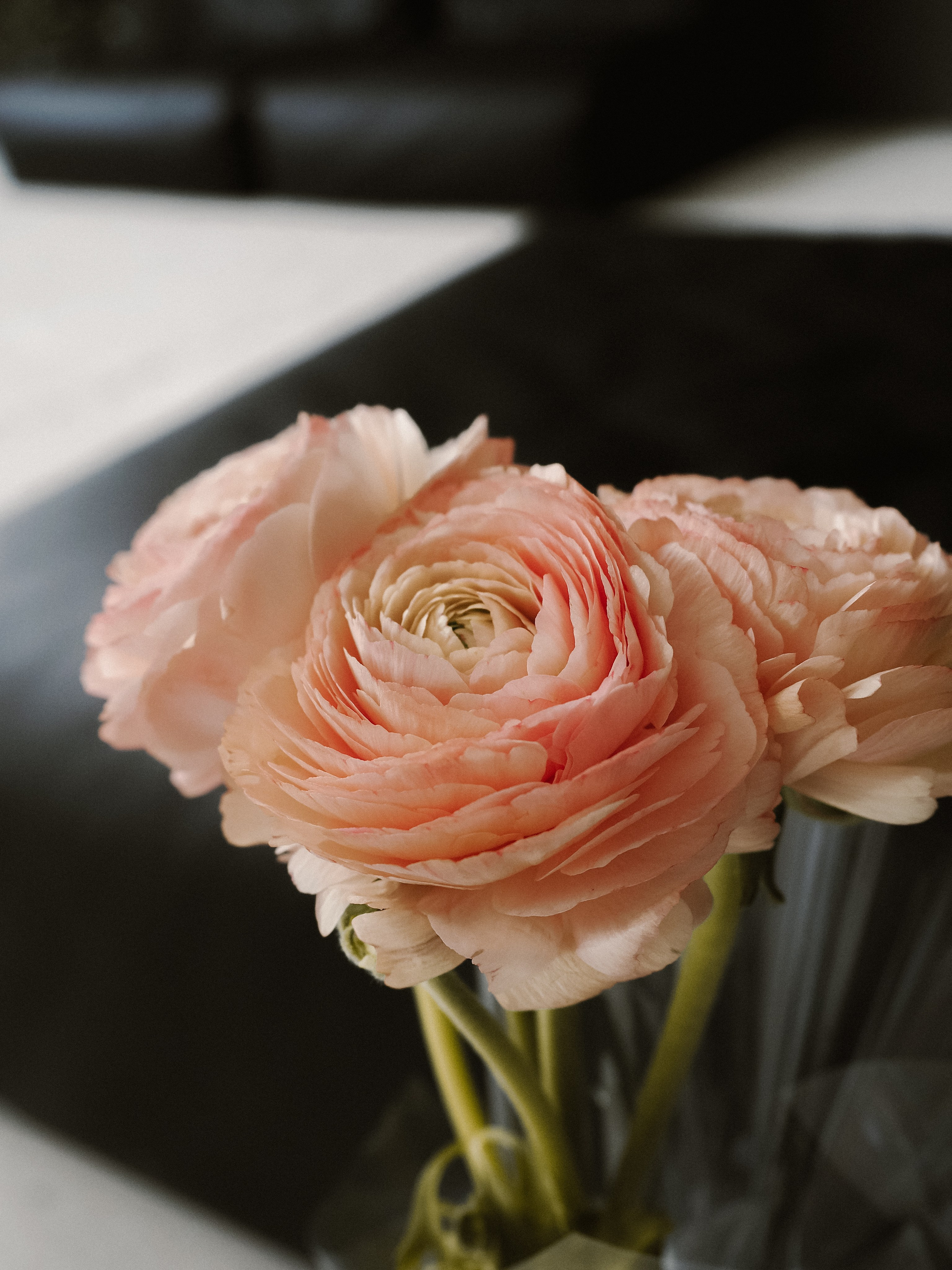 Анастасия. Фотограф Рязань. Семейный Свадебный фотограф