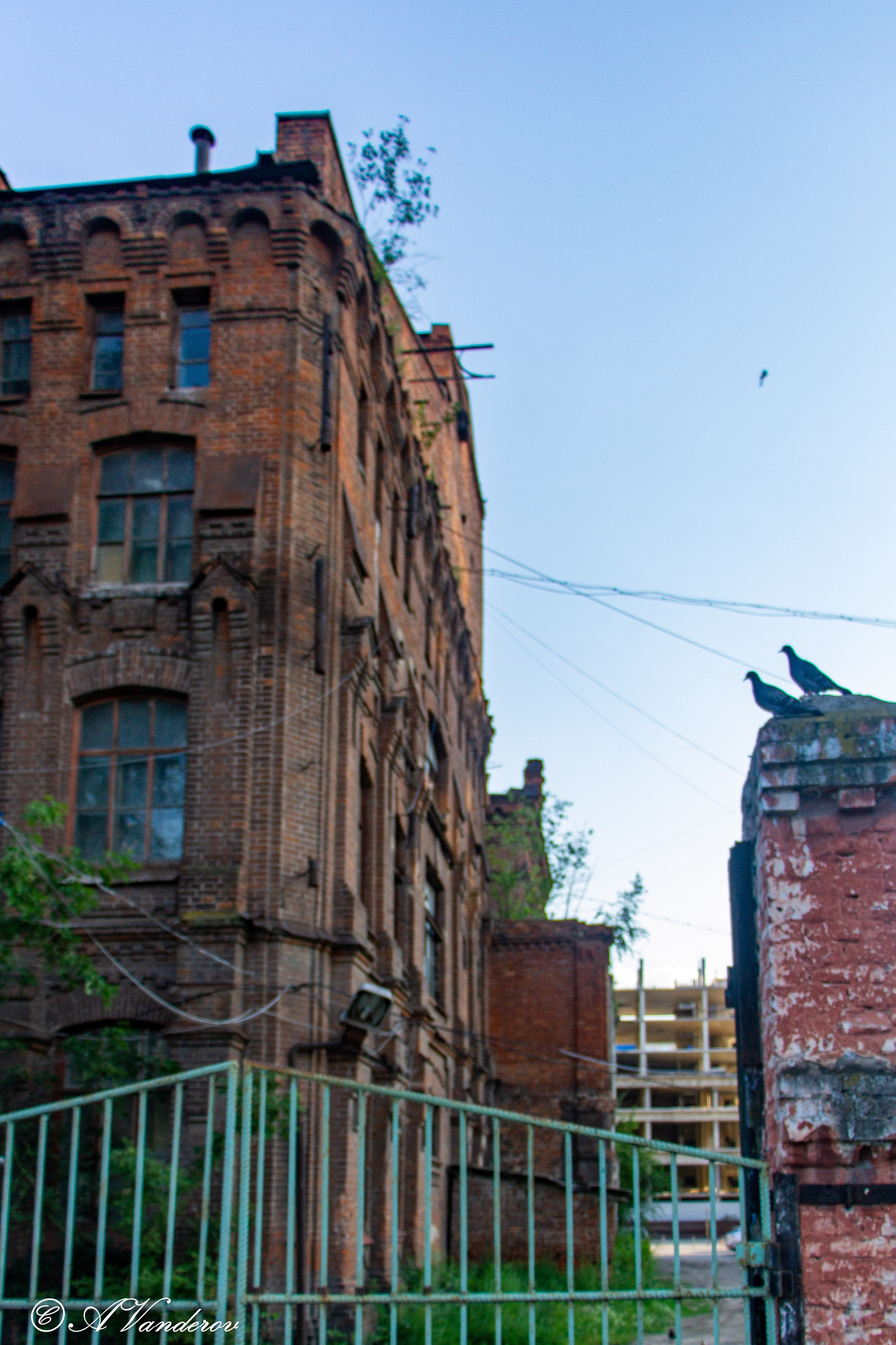 Омск 2023. Фотограф Омск | Александр Вандеров