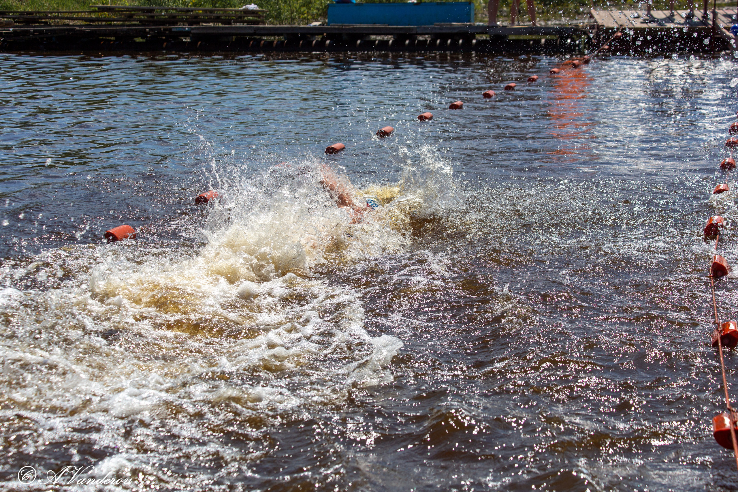 Заплыв 02.06.2024. Фотограф Омск | Александр Вандеров