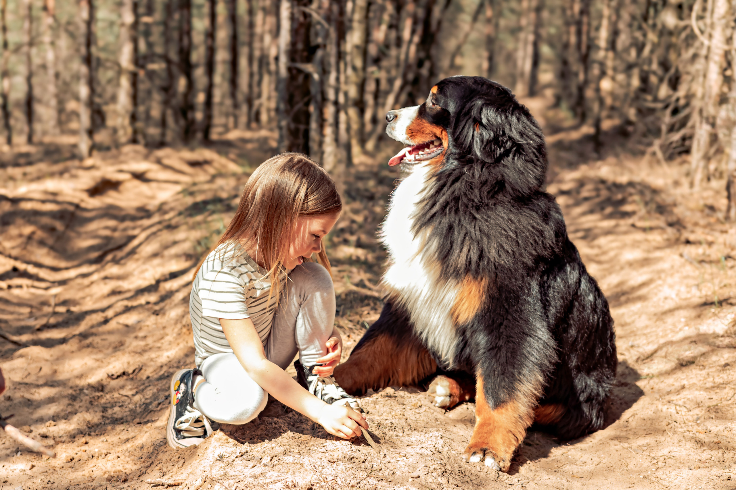 Семейная фотосессия в лесу