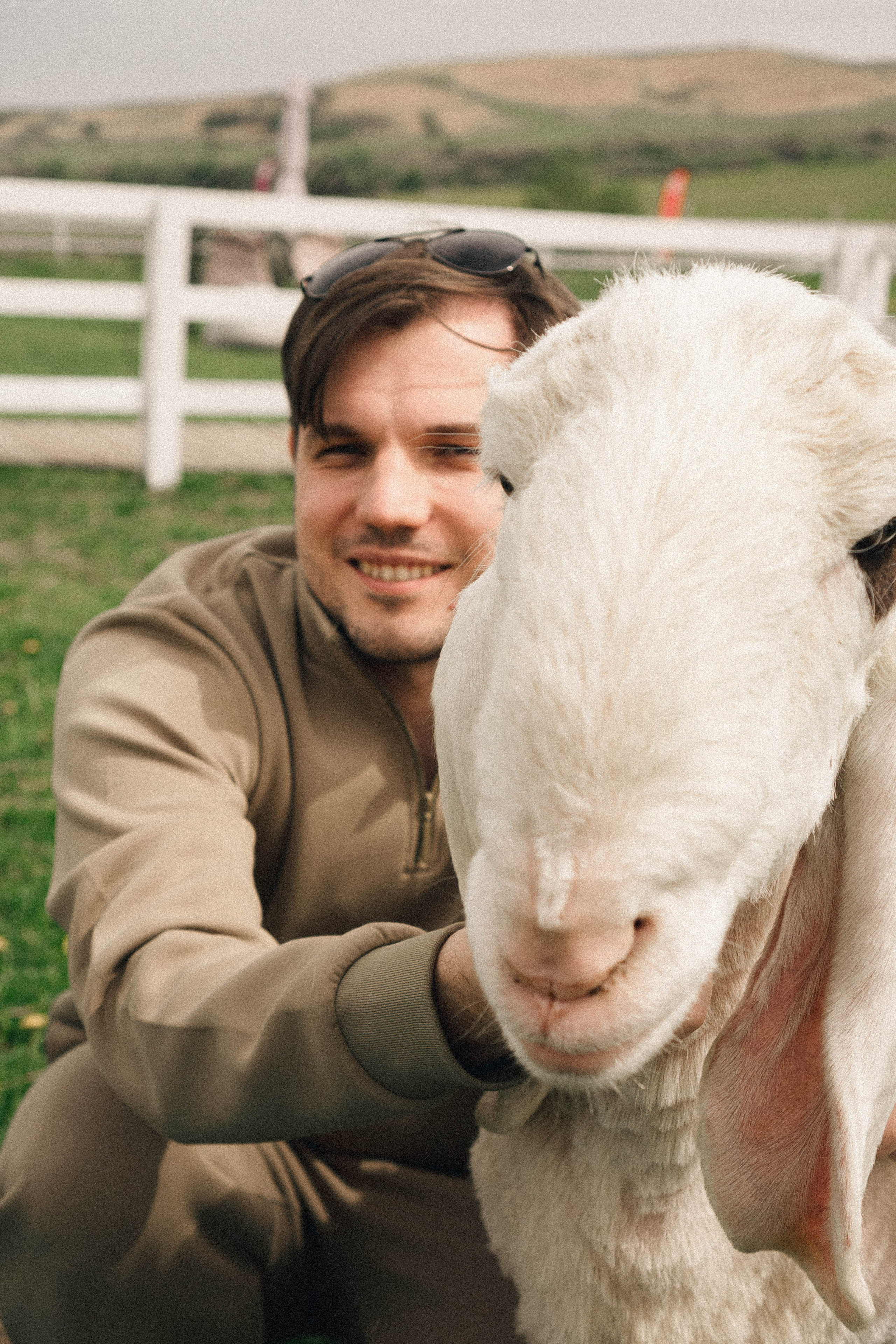 Ферма Альпак. Профессиональный фотограф, Санкт-Петербург — Виктория Богомолова