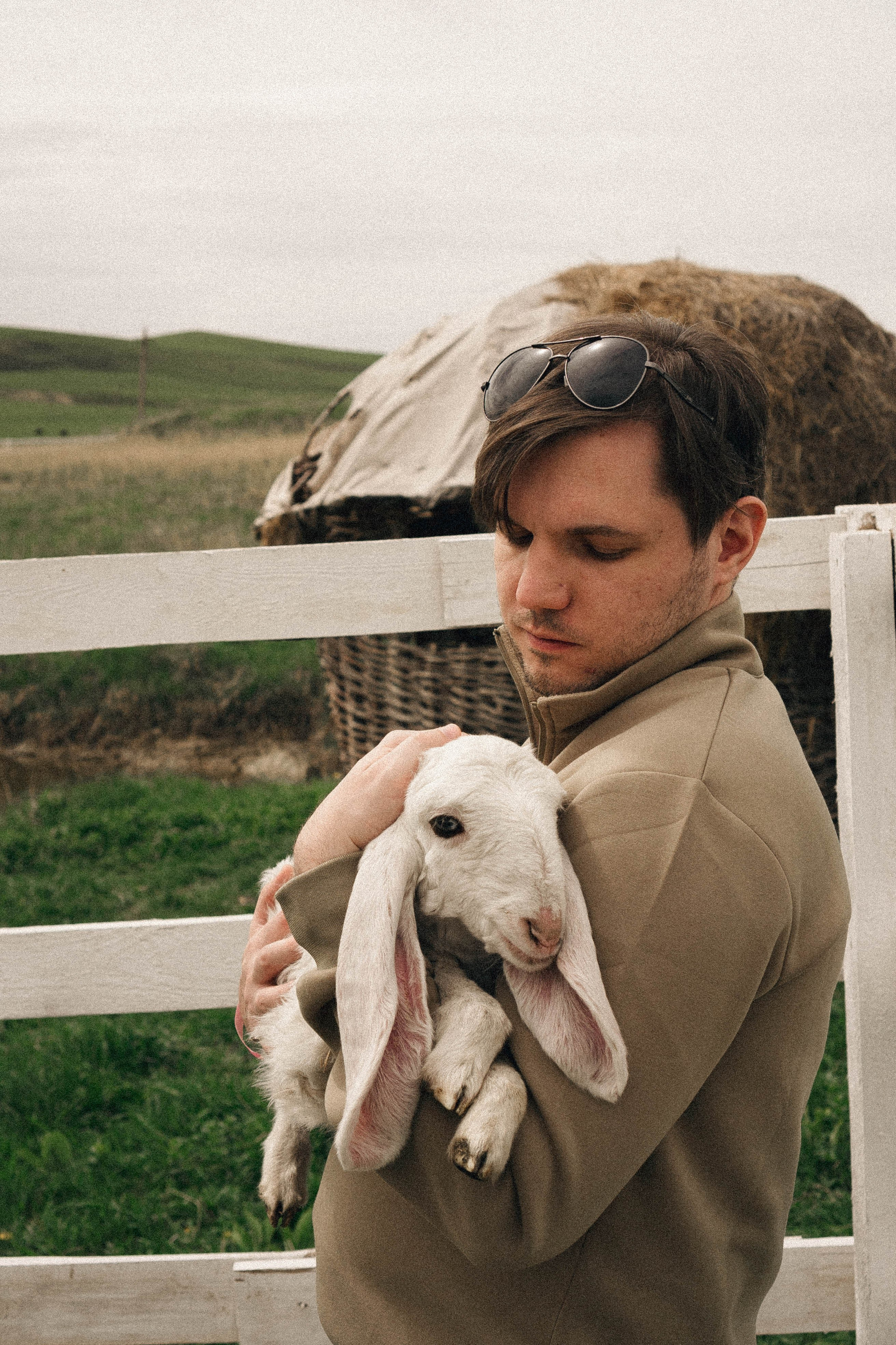 Ферма Альпак. Профессиональный фотограф, Санкт-Петербург — Виктория Богомолова