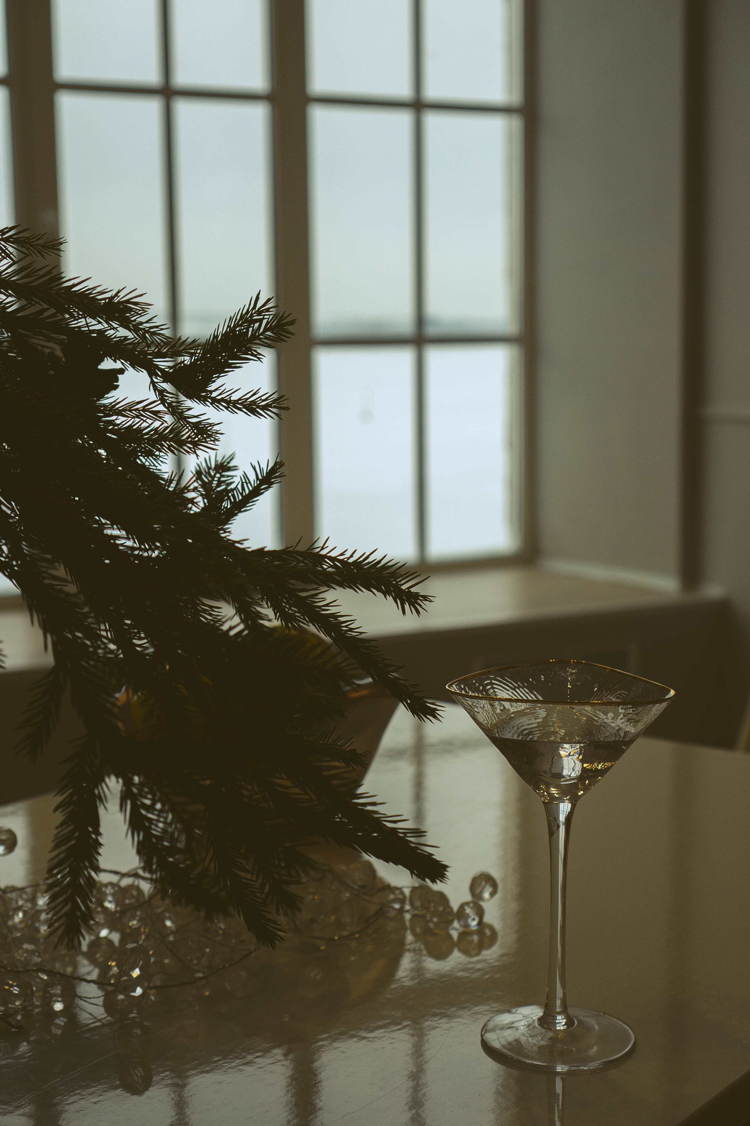 Новогодняя. Профессиональный фотограф, Санкт-Петербург — Виктория Богомолова