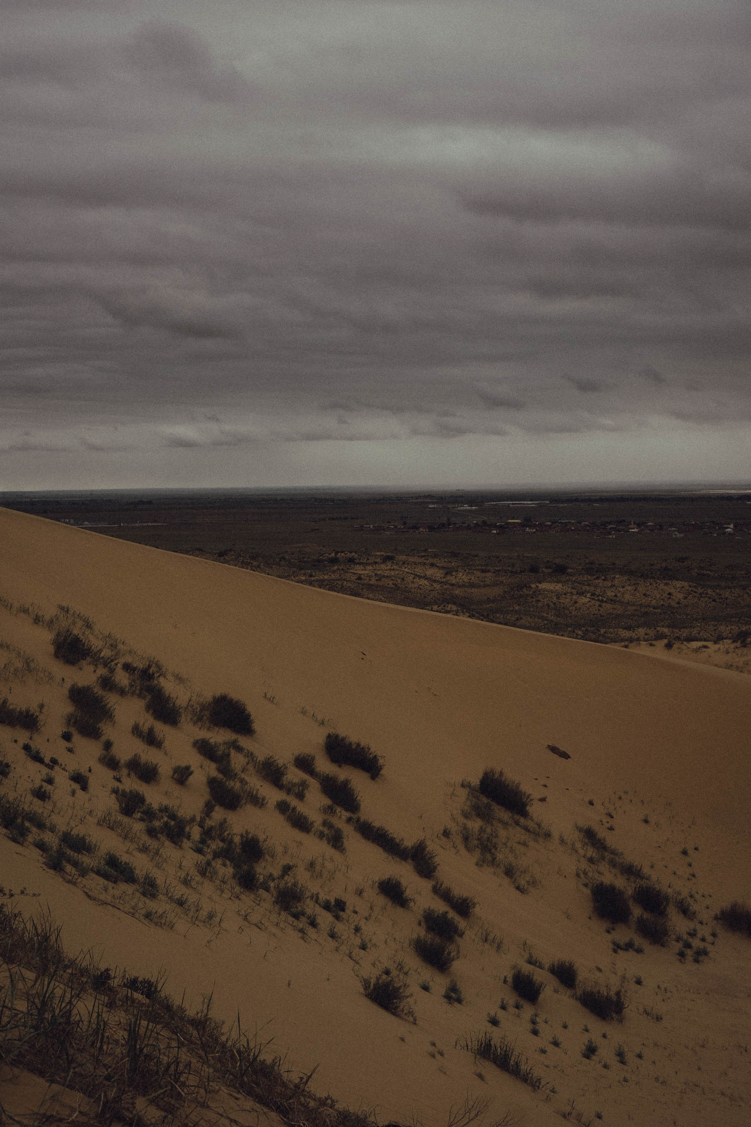 Кавказ. Профессиональный фотограф, Санкт-Петербург — Виктория Богомолова