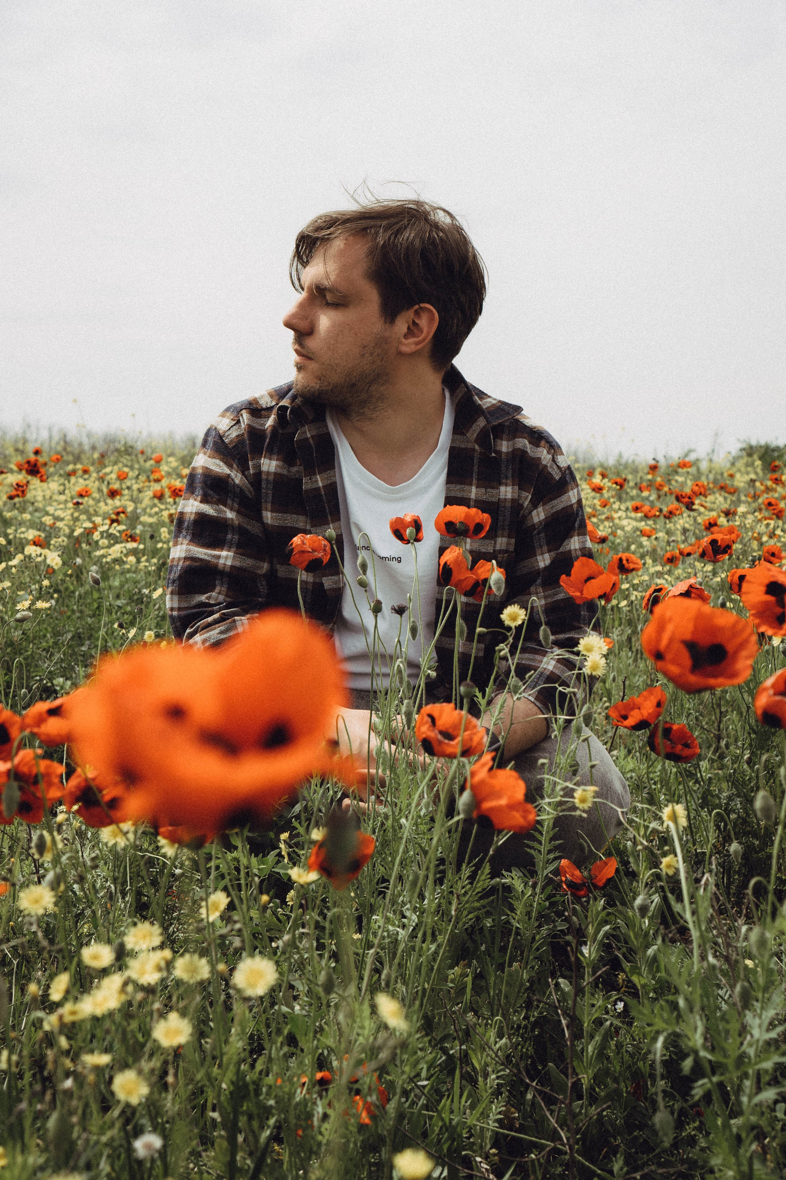 Маки. Профессиональный фотограф, Санкт-Петербург — Виктория Богомолова