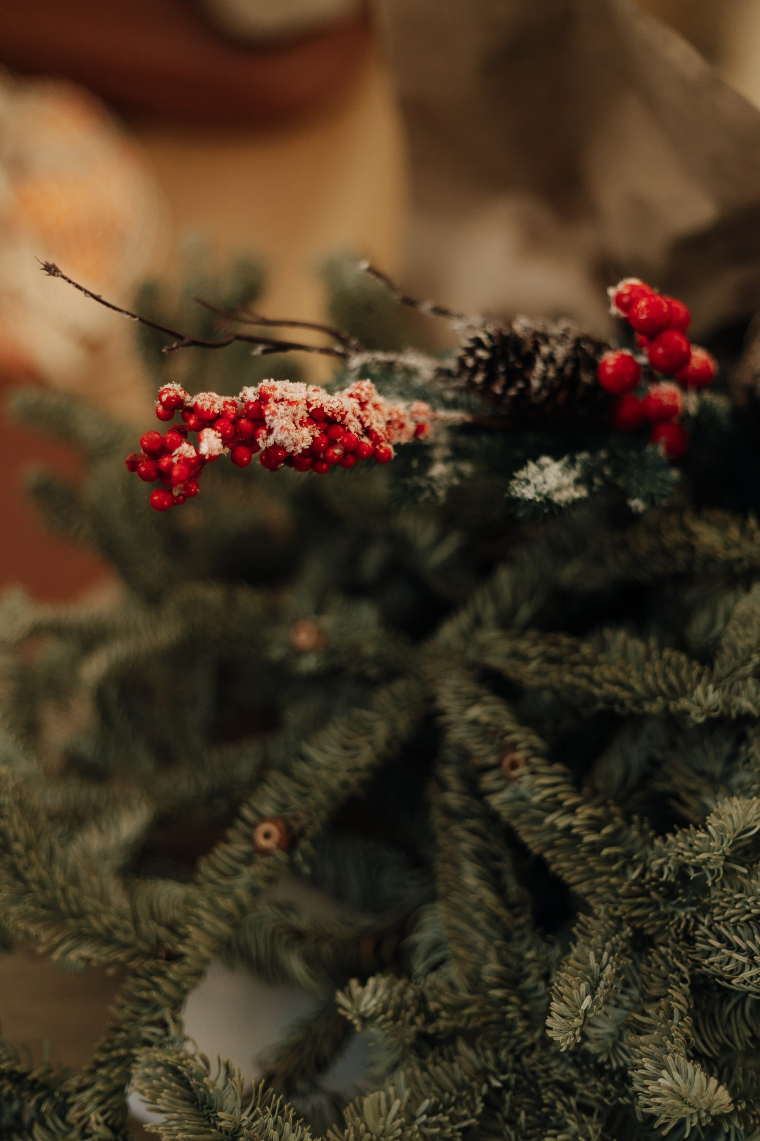 Евгений, Александра и Василиса в лесу. Фотограф в Крыму | Виктория Нотевская