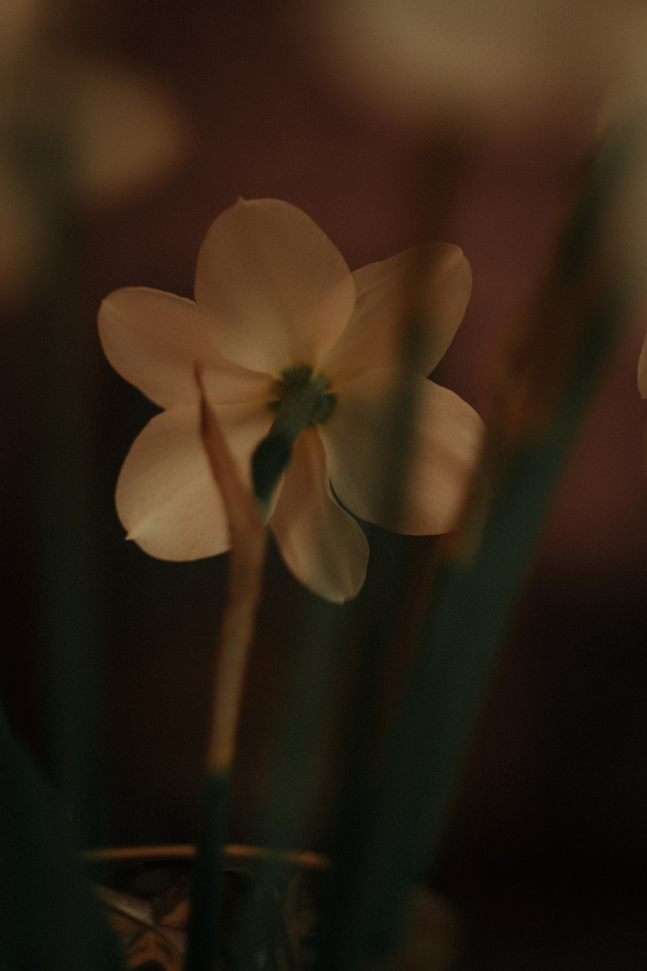 С Бабулей. FotoTanya. Раменское/Жуковский/Бронницы