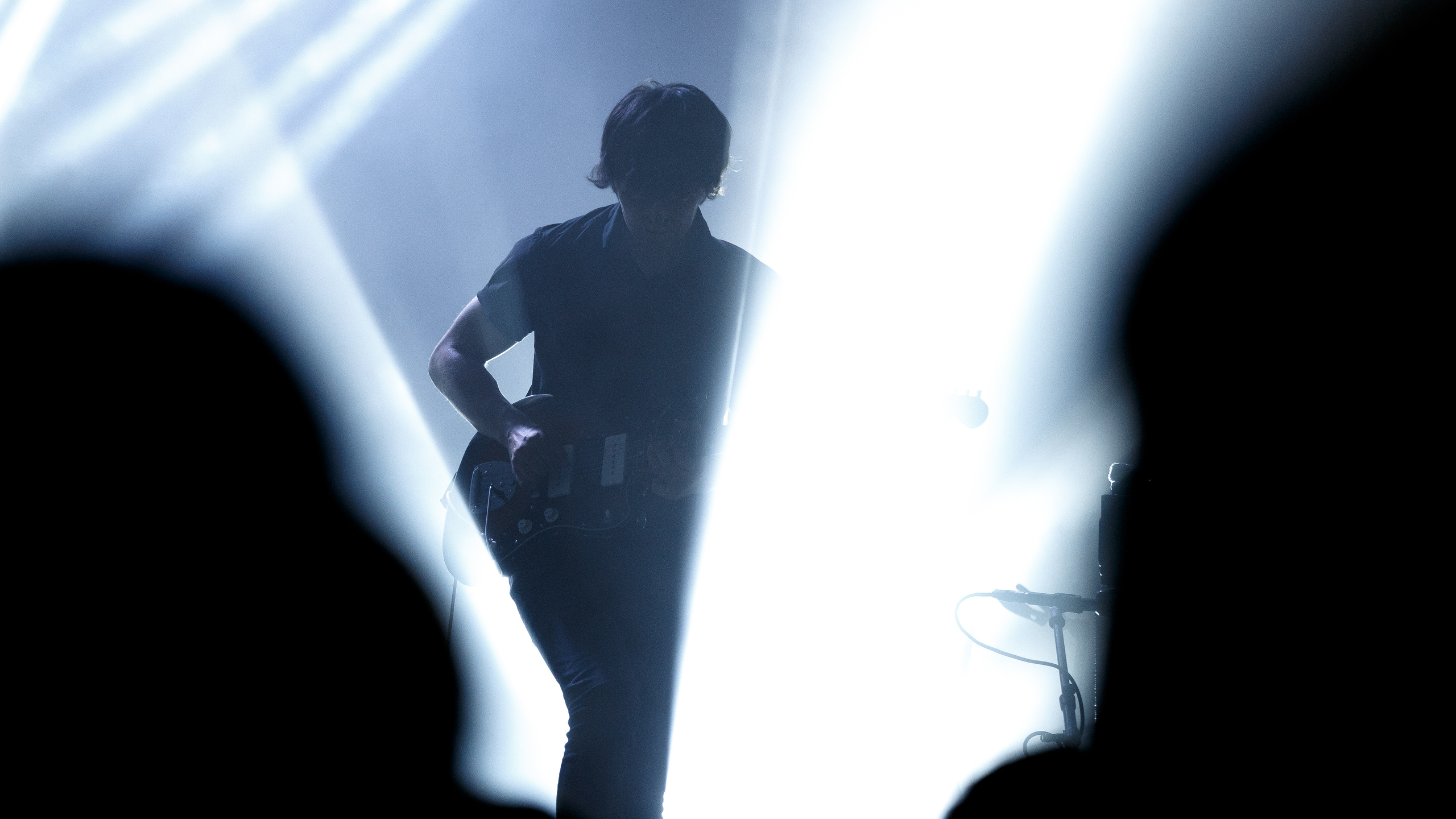 Dolphinmusic. Сергей Ветер, фотограф в Краснодаре