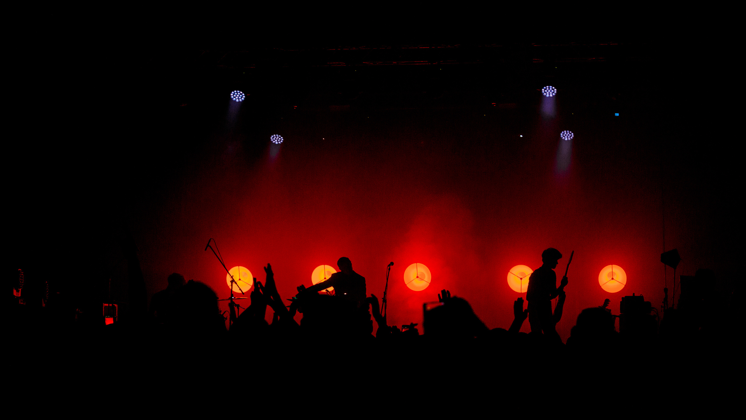 Dolphinmusic. Сергей Ветер, фотограф в Краснодаре