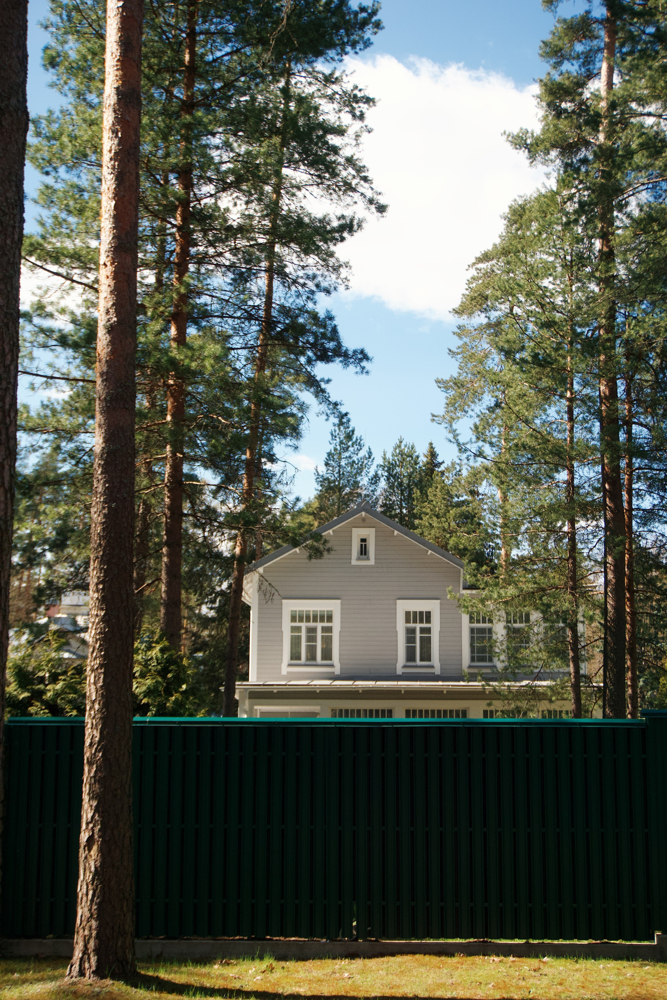 Петербург. Татьян гертье