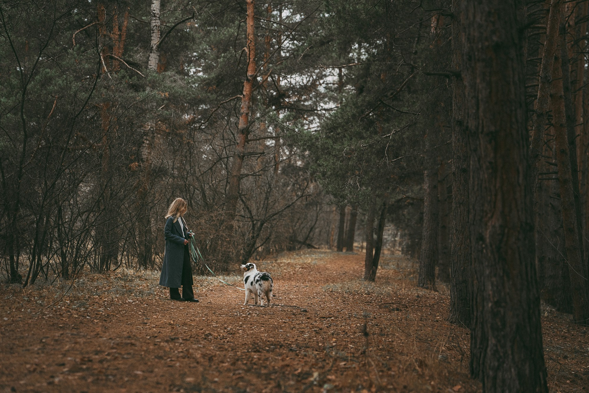 Лиза и Бублик. Фотограф анималист в Москве и Санкт-Петербурге Свиридова Анна