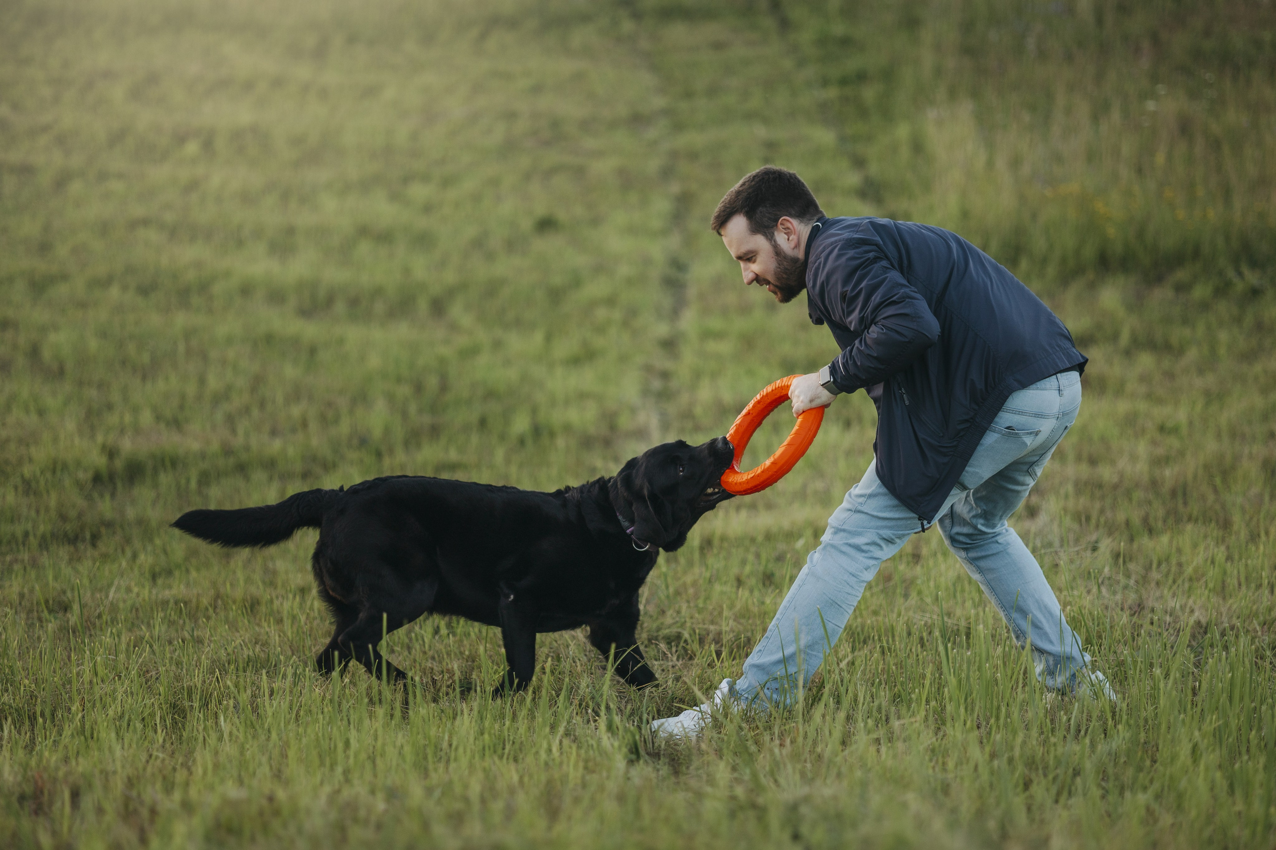Бомбей и его семья. Фотограф — Анималист | Санкт-Петербург