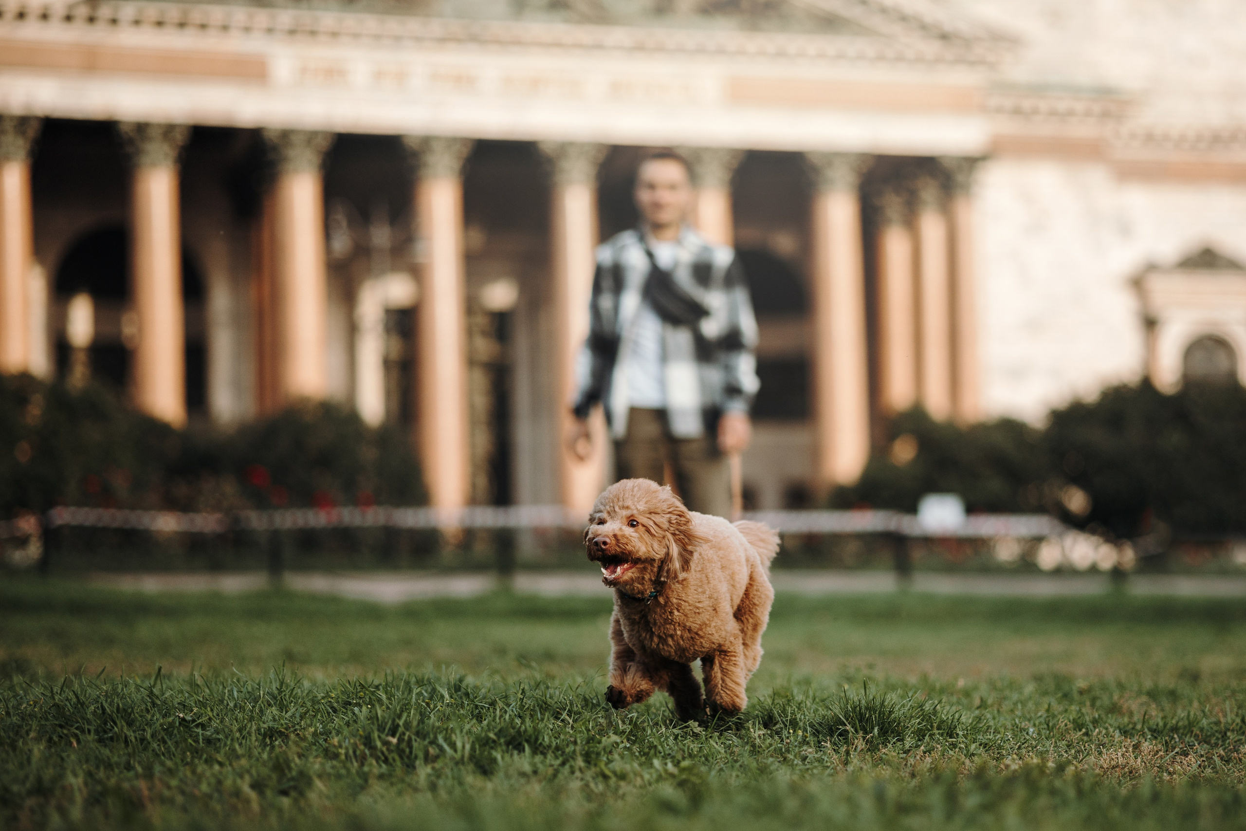 Барни и его семья. Фотограф — Анималист | Санкт-Петербург